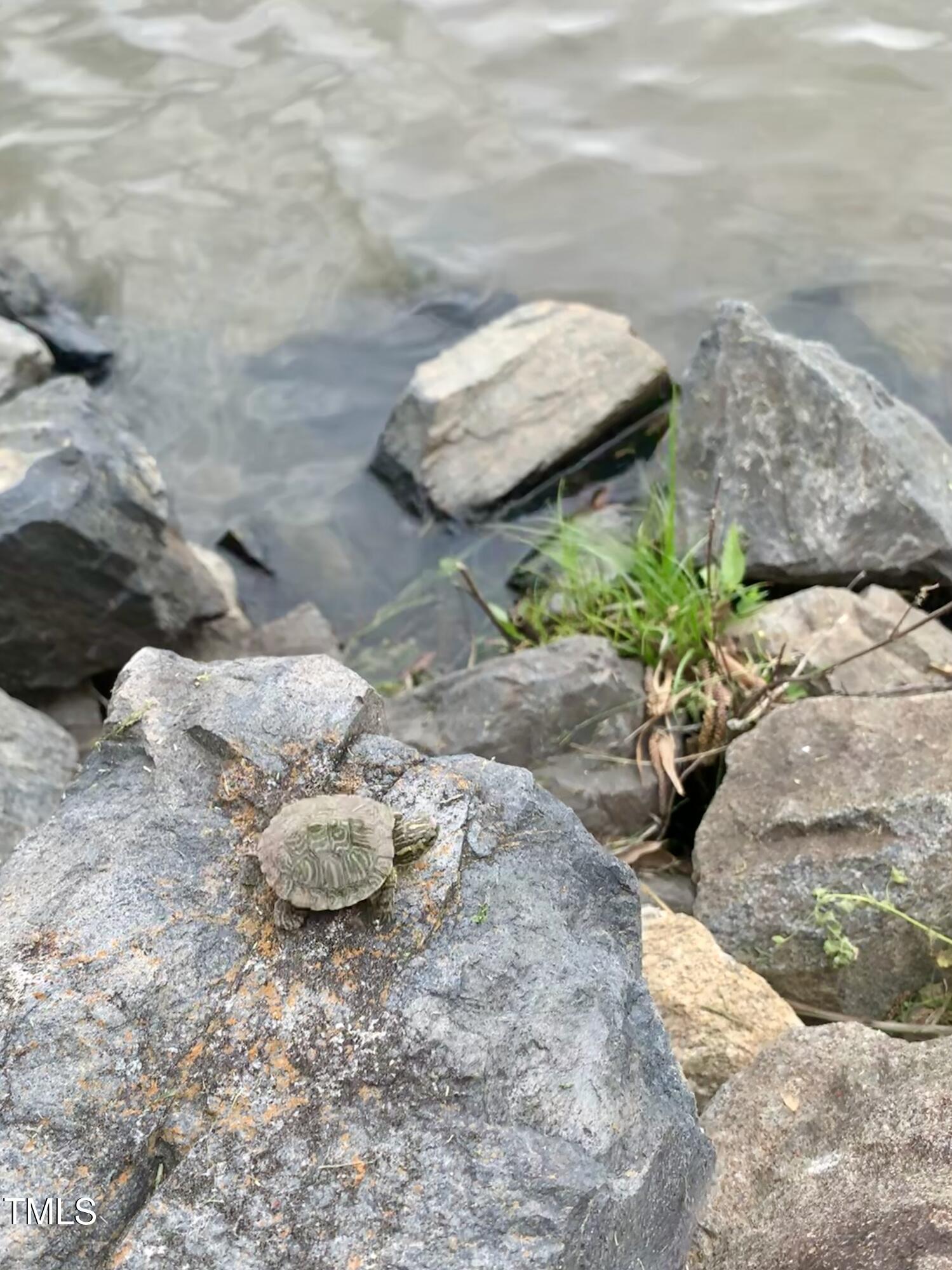 512 North Water's Edge Drive Durham, NC 27703 - Photo 46 of 55 IMG_3706