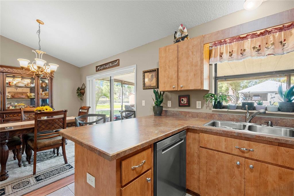 28445 Darby Road Dade City, FL 33525 - Photo 9 of 31