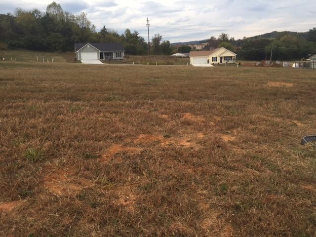 River Poppy Road Mascot, TN 37806 - Photo 6 of 6 Lot 126