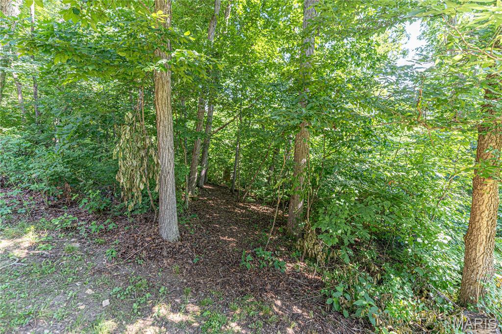 2839 Oberhelman Road Foristell, MO 63348 - Photo 51 of 55