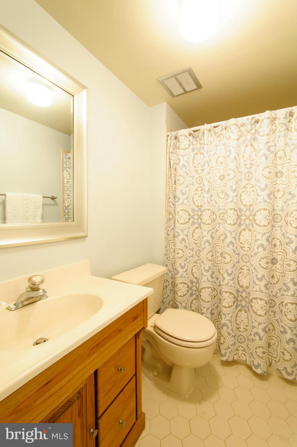 12305 Running Deer Road Manassas, VA 20112 - Photo 13 of 19 Bath (Lower Level)