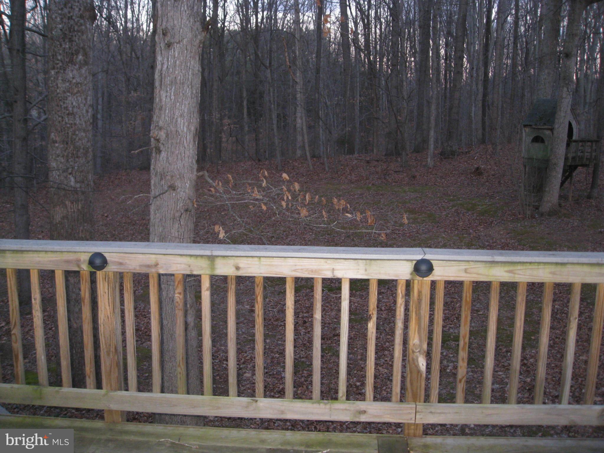 12305 Running Deer Road Manassas, VA 20112 - Photo 19 of 19 Rear