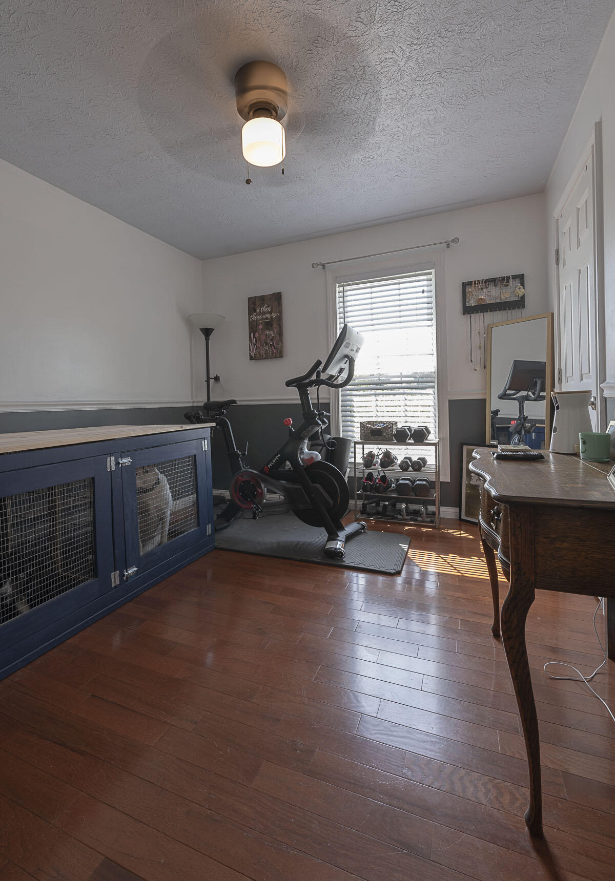 3944 Boston Road Lexington, KY 40514 - Photo 13 of 24 dog room