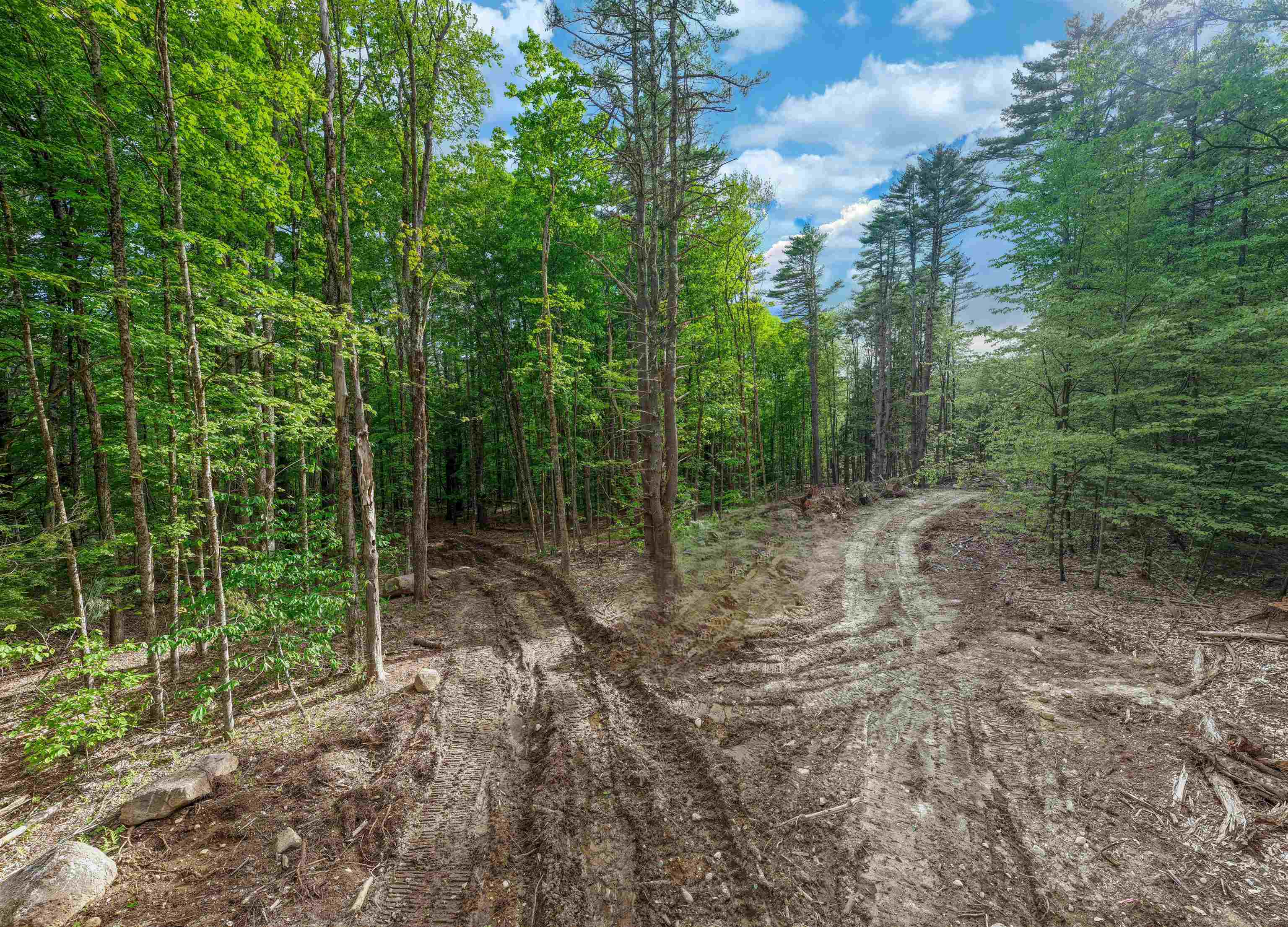 Lot 1 Winona Road Meredith, NH 03253 - Photo 7 of 16