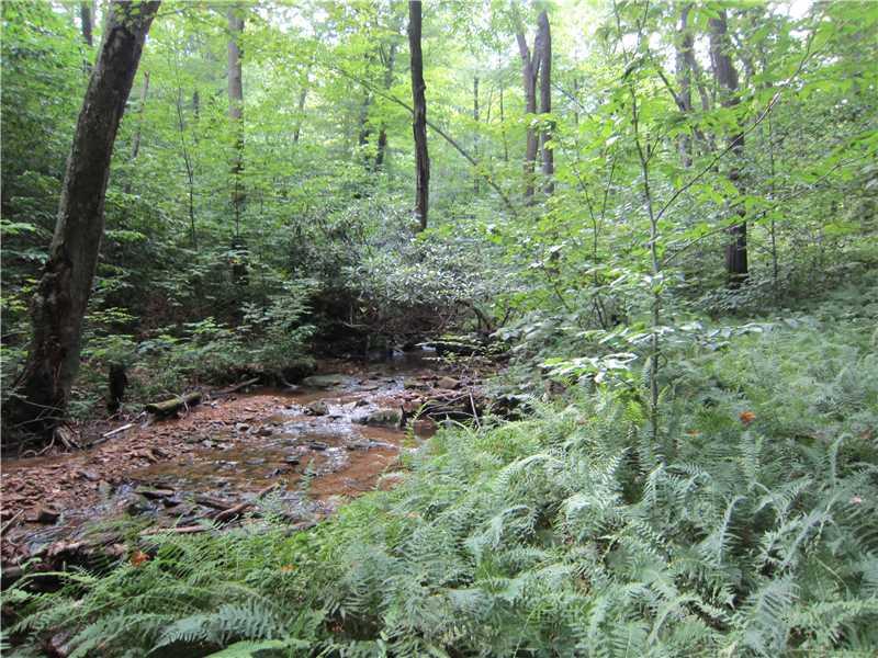 3 Chestnut Road Rockwood, PA 15557 - Photo 15 of 15 Other.