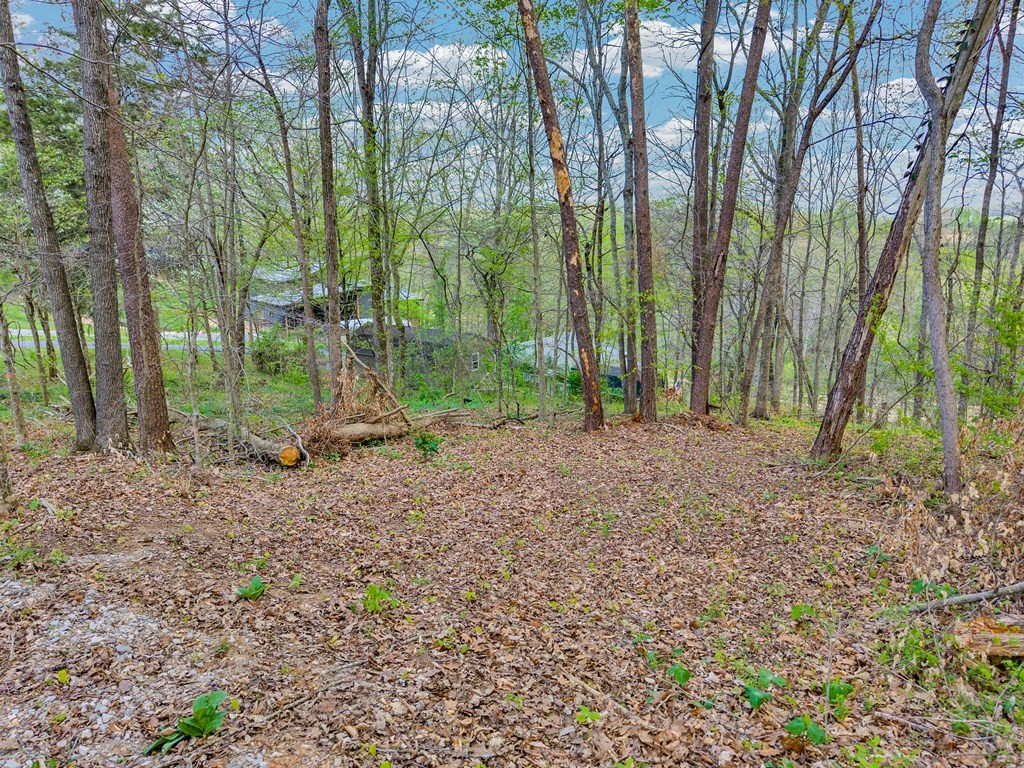0 Lawson Road Sparta, TN 38583 - Photo 7 of 21 Gallery Image 7