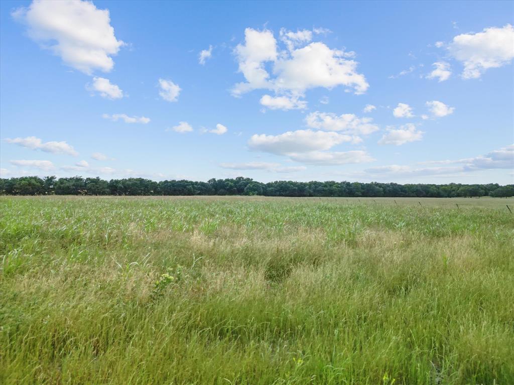 6512 County Road 1050 Celeste, TX 75423 - Photo 19 of 22 a view of a lake with a big yard