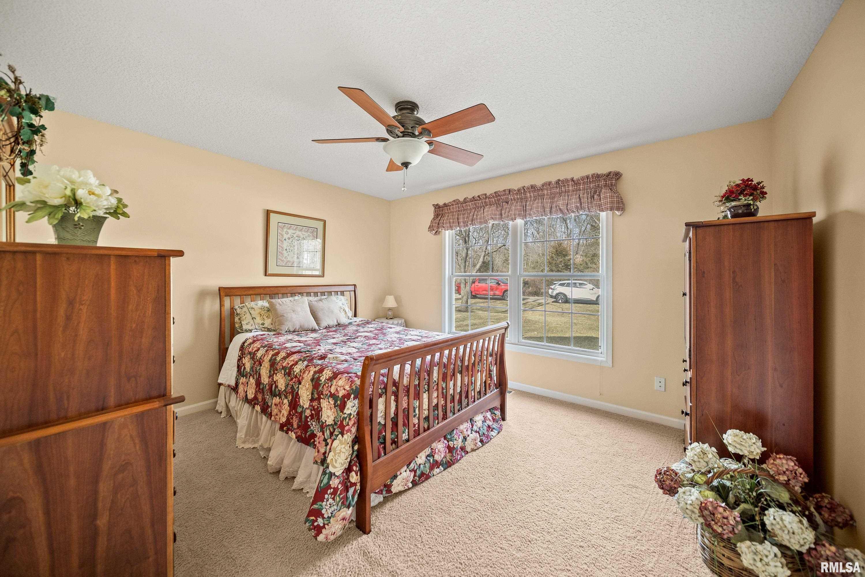 302 Platte Drive Dixon, IL 61021 - Photo 21 of 51