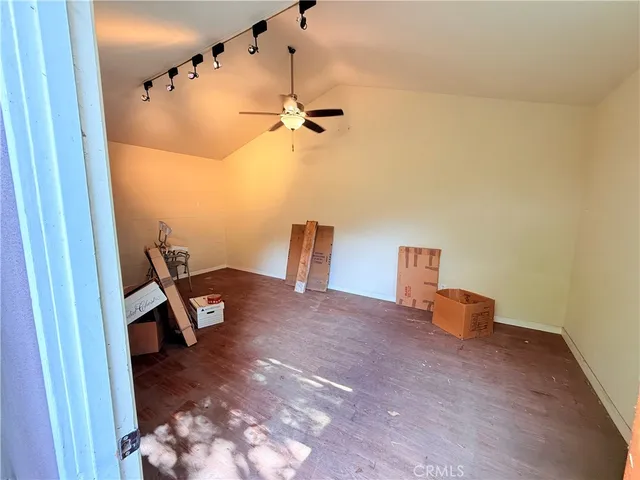 a view of a yard with plants and a large tree