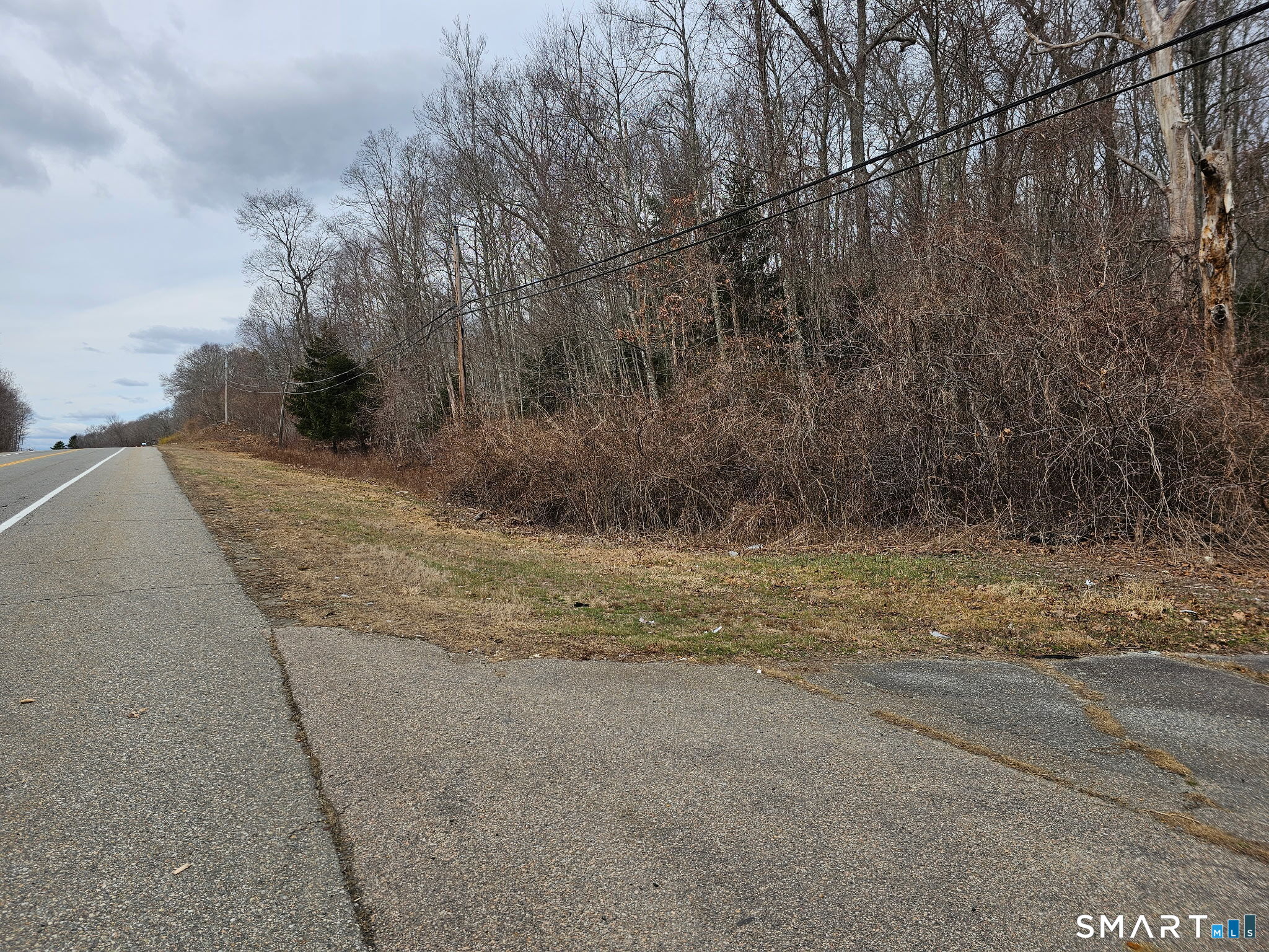 616 Norwich-Westerly Road North Stonington, CT 06359 - Photo 5 of 6 a view of a dry yard with trees