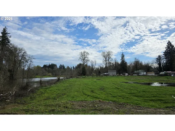 a open area with grassy field and trees