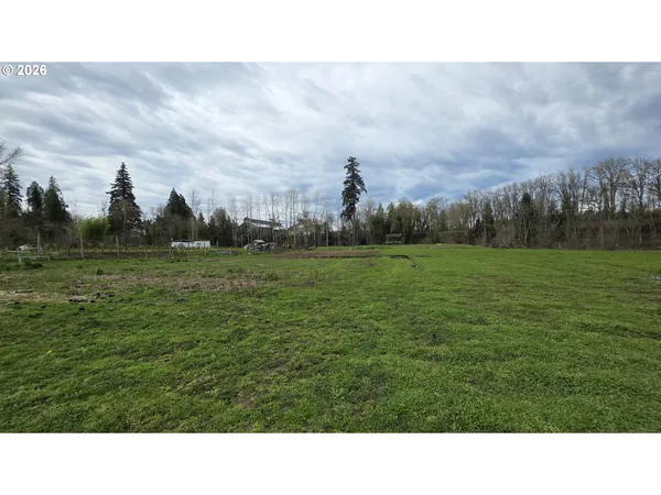 a open area with grassy field and trees