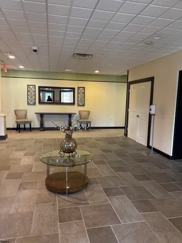 a living room with furniture a rug and a potted plant