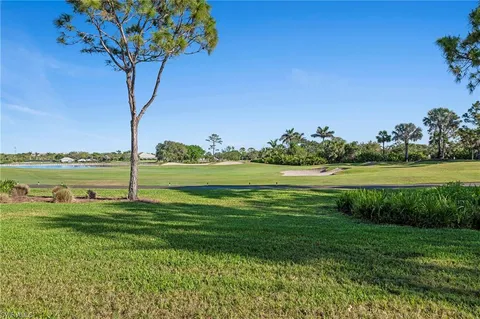a view of a garden with a tree