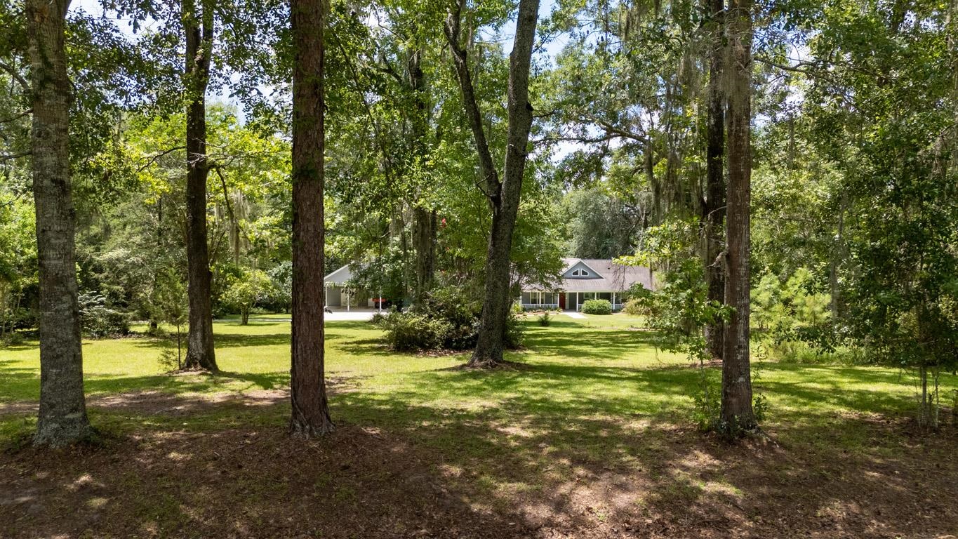 173 Beaver Creek Road Havana, FL 32333 - Photo 65 of 69