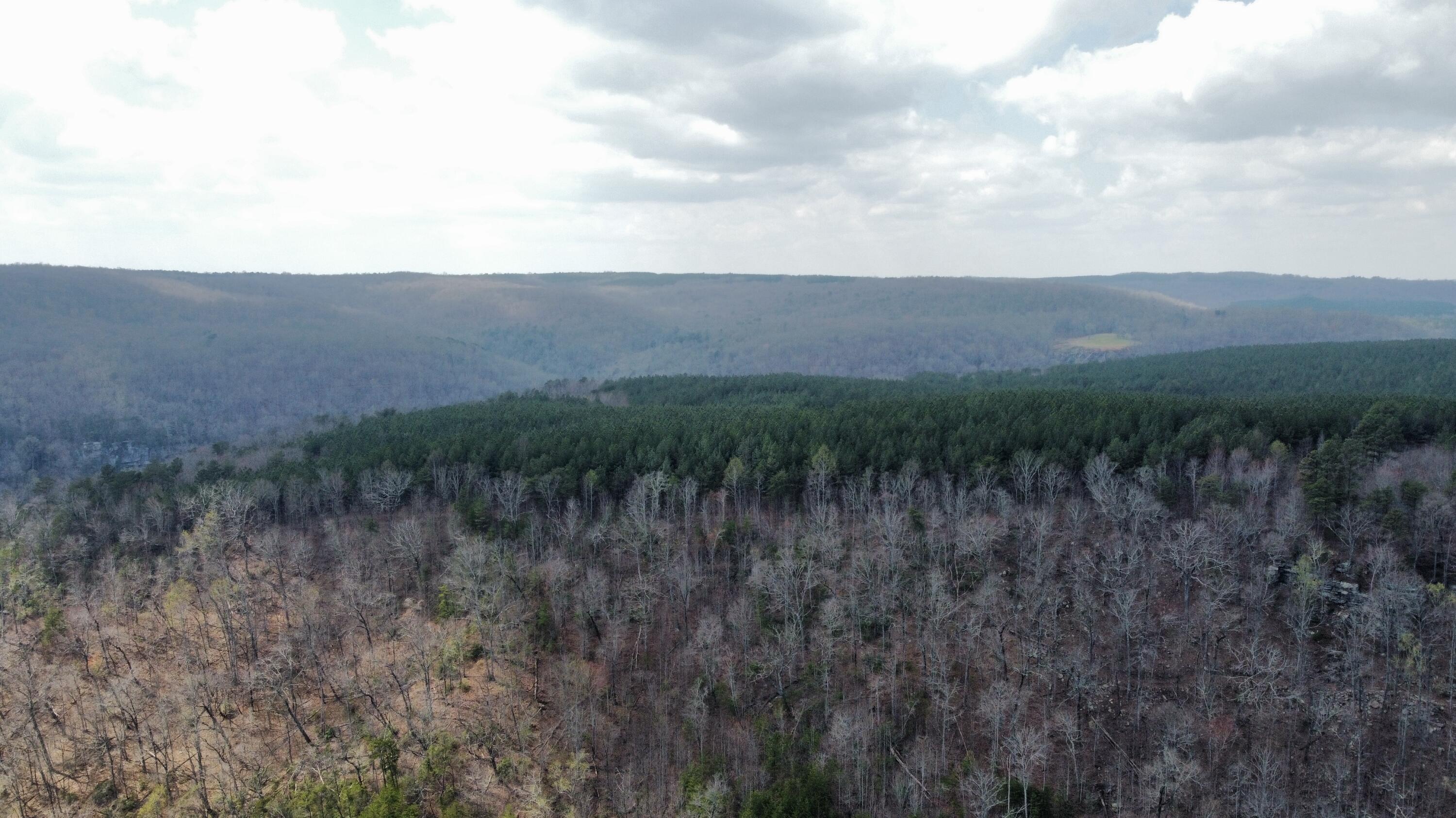 1211 Stooping Oak Road West Dunlap, TN 37327 - Photo 101 of 112 Photo Mar 27 2026, 12 58 33 PM (15)