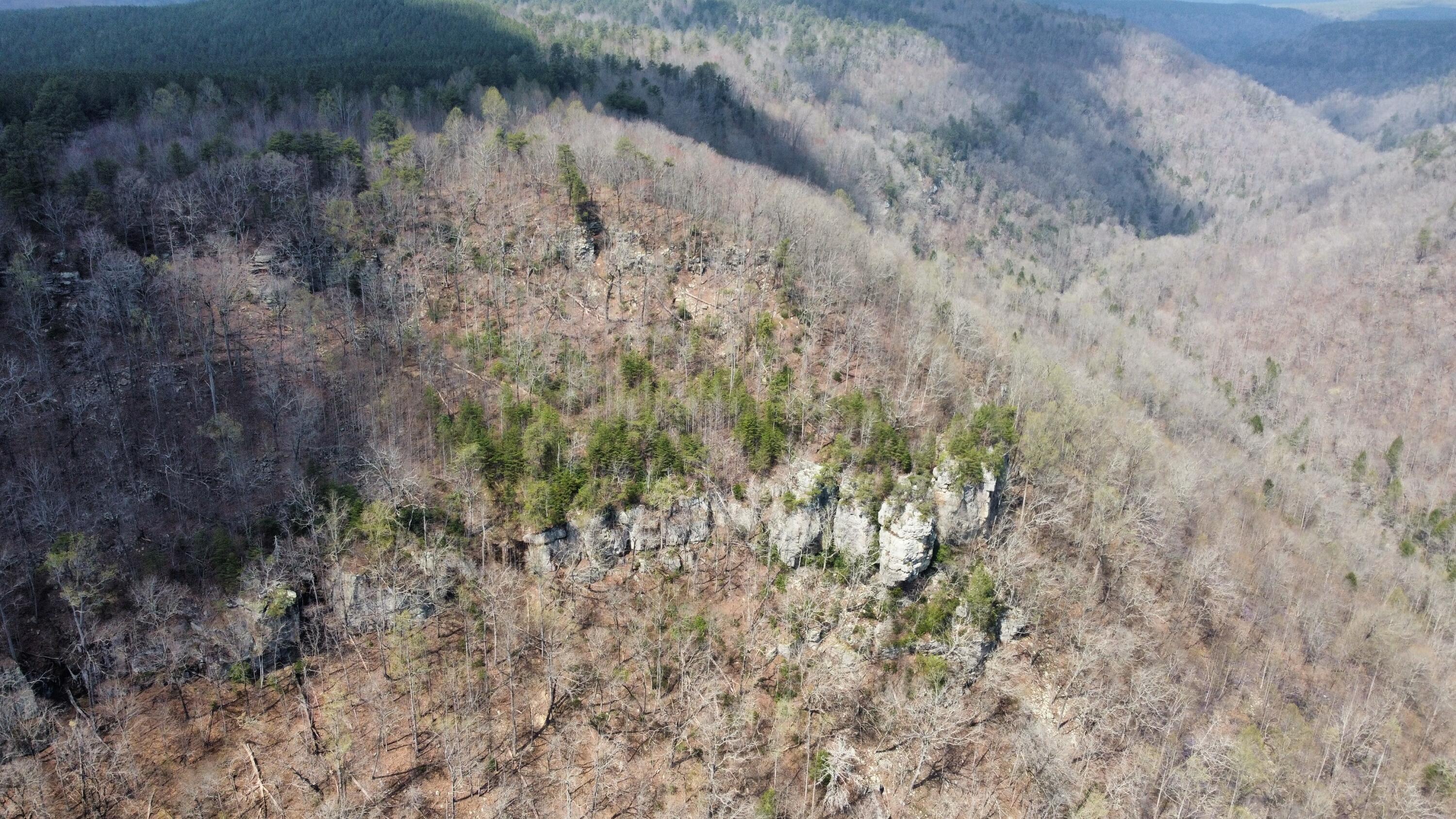 1211 Stooping Oak Road West Dunlap, TN 37327 - Photo 102 of 112 Photo Mar 27 2026, 12 58 33 PM (16)