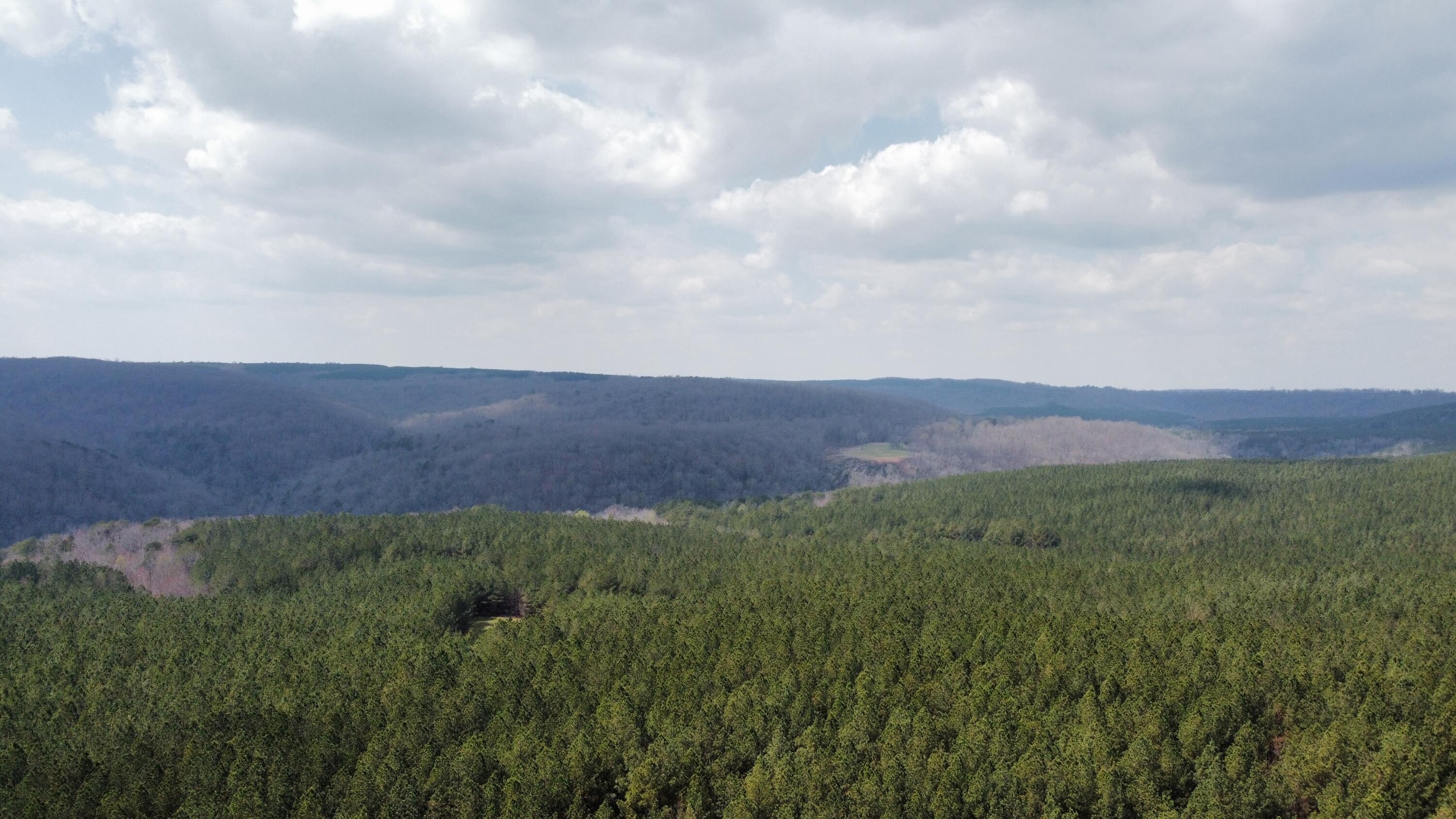 1211 Stooping Oak Road West Dunlap, TN 37327 - Photo 104 of 112 Photo Mar 27 2026, 12 58 33 PM (18)