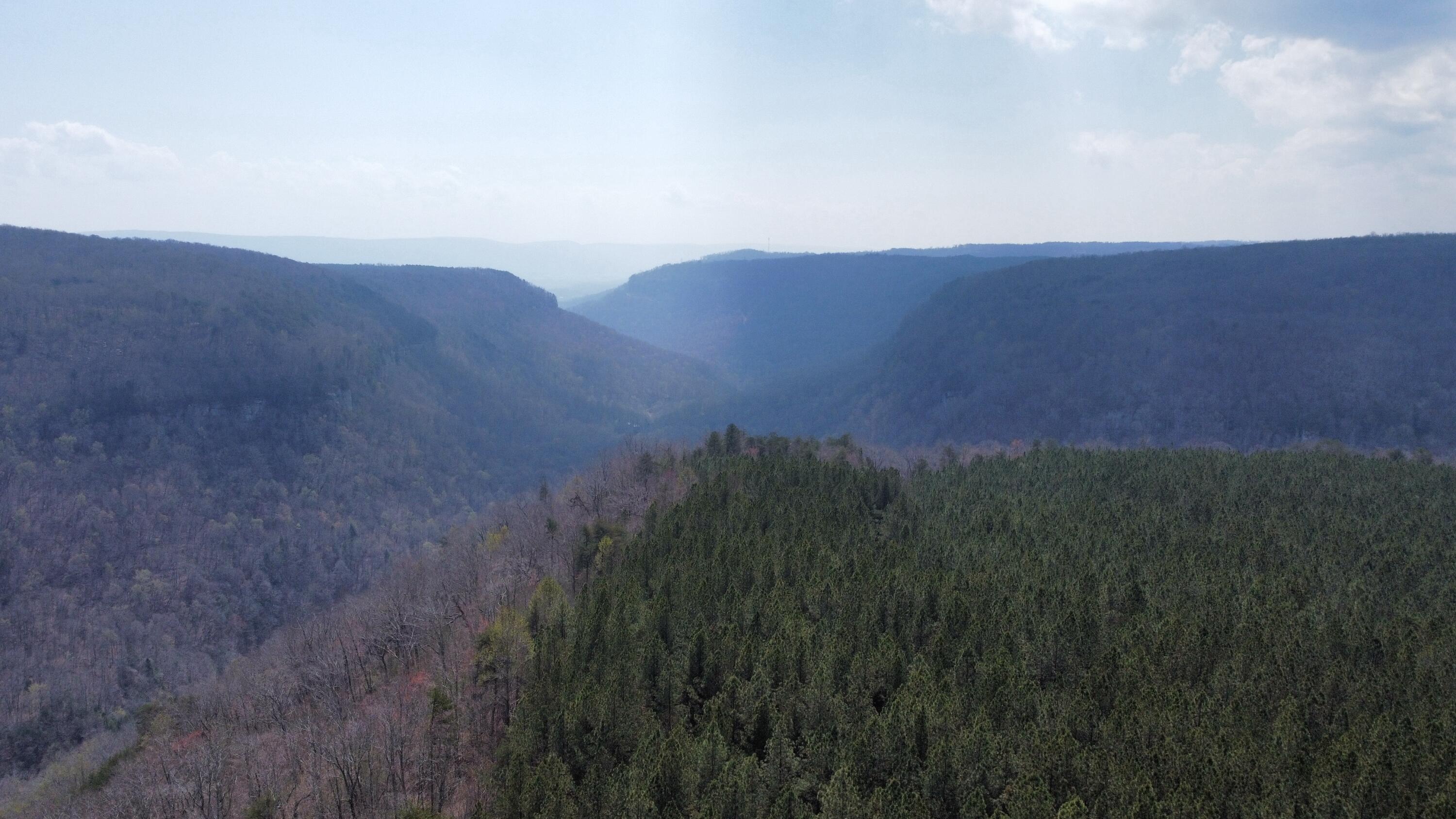 1211 Stooping Oak Road West Dunlap, TN 37327 - Photo 108 of 112 Photo Mar 27 2026, 12 58 33 PM (23)