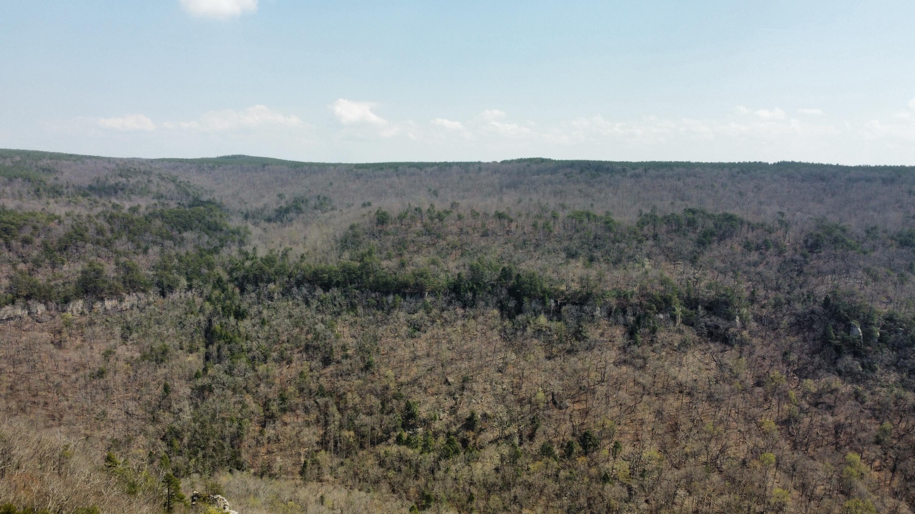 1211 Stooping Oak Road West Dunlap, TN 37327 - Photo 109 of 112 Photo Mar 27 2026, 12 58 33 PM (24)