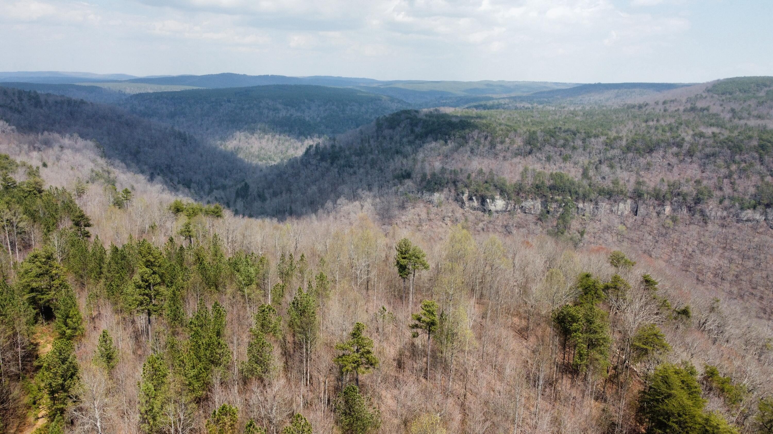 1211 Stooping Oak Road West Dunlap, TN 37327 - Photo 110 of 112 Photo Mar 27 2026, 12 58 33 PM (25)