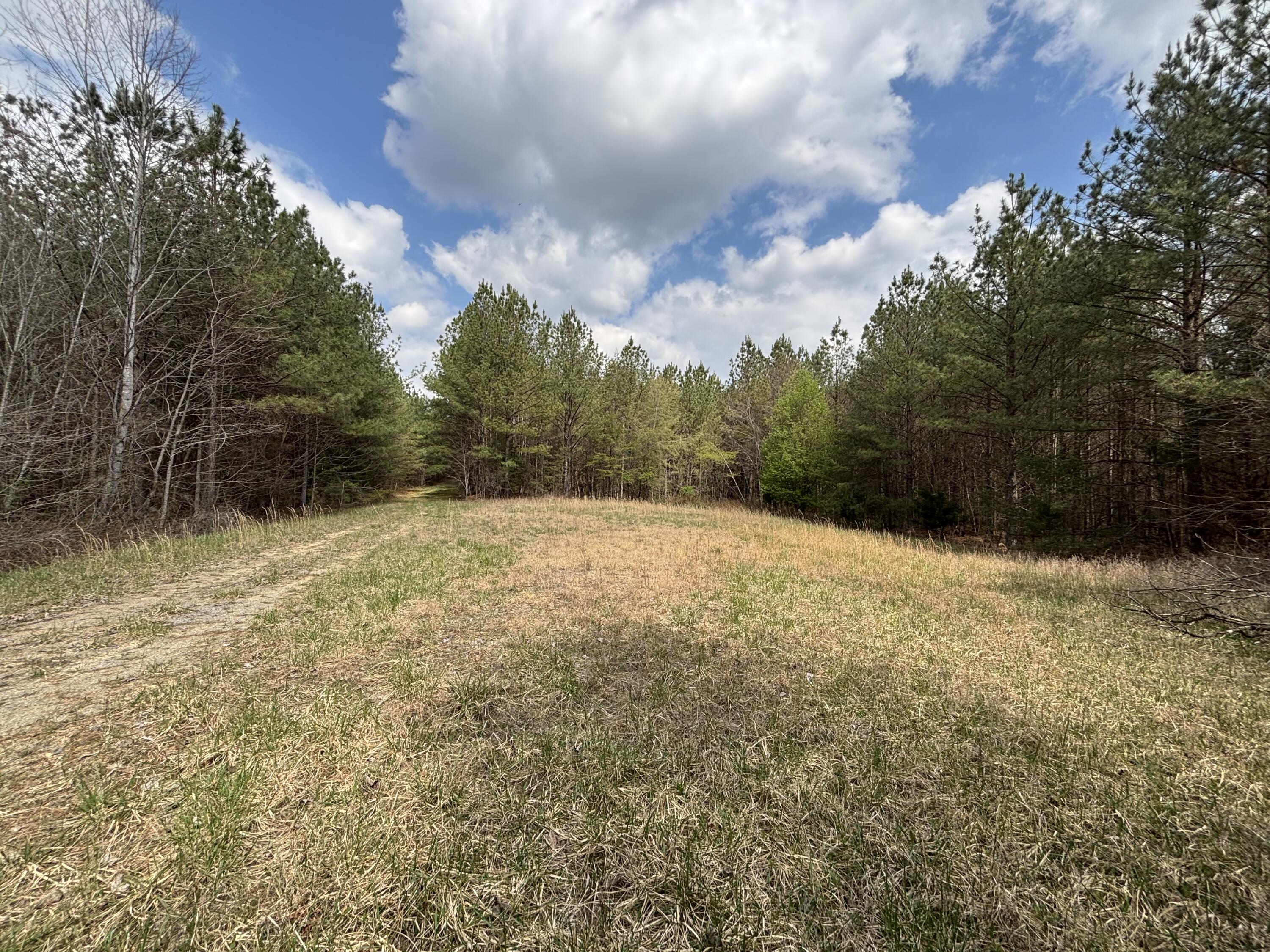 1211 Stooping Oak Road West Dunlap, TN 37327 - Photo 11 of 112 Photo Mar 26 2026, 1 13 36 PM