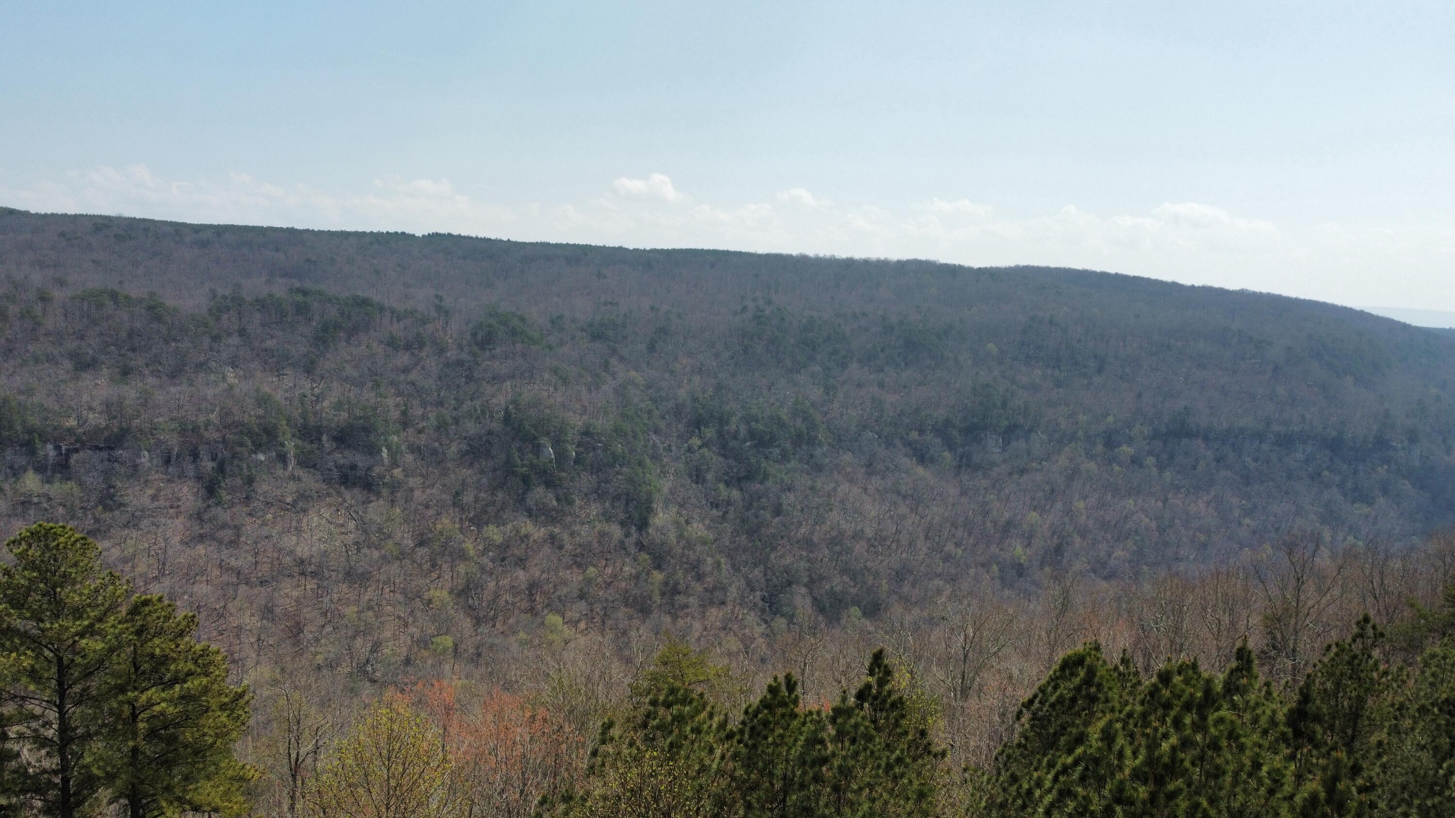 1211 Stooping Oak Road West Dunlap, TN 37327 - Photo 111 of 112 Photo Mar 27 2026, 12 58 33 PM (26)