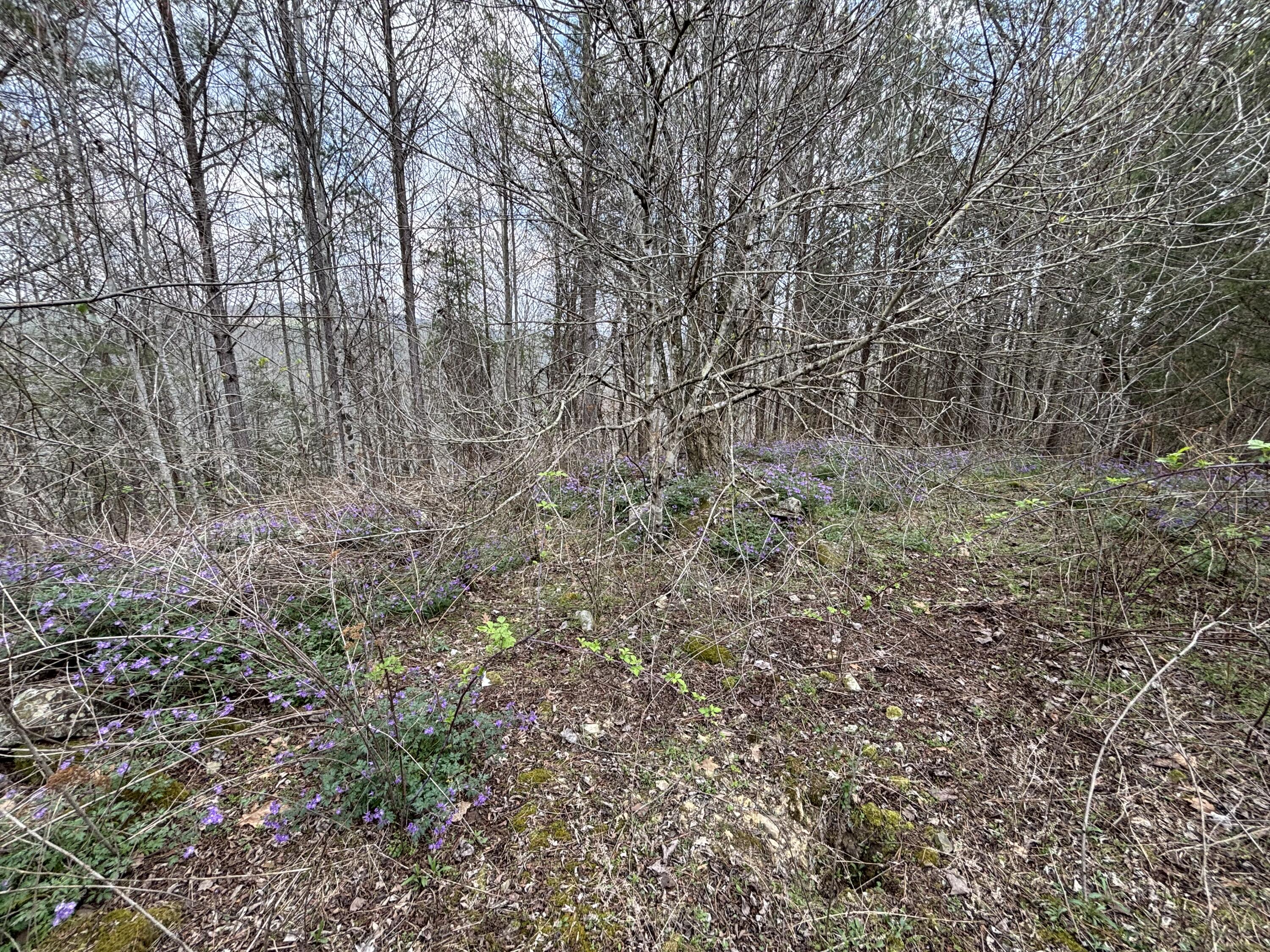 1211 Stooping Oak Road West Dunlap, TN 37327 - Photo 14 of 112 Photo Mar 26 2026, 1 18 36 PM