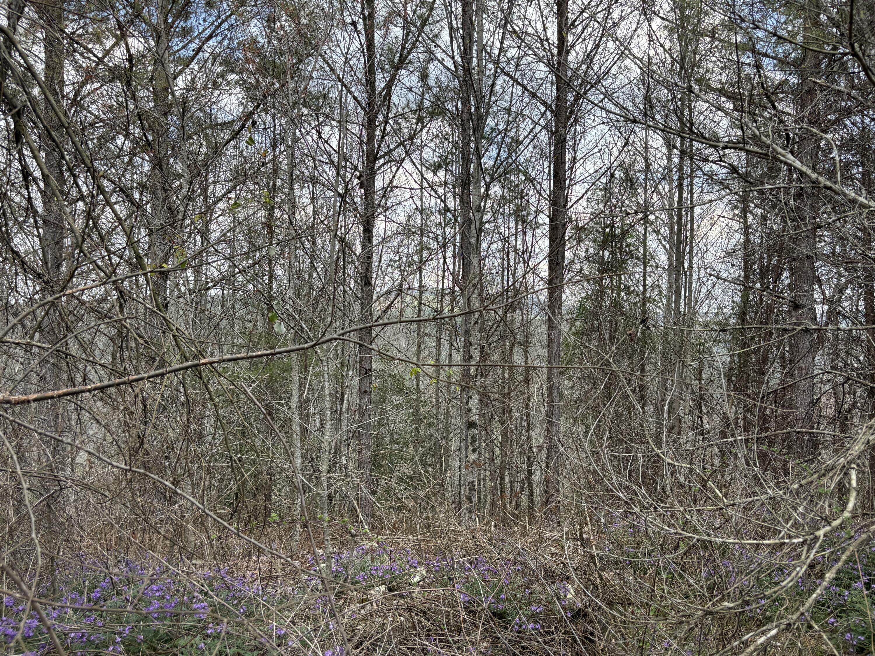 1211 Stooping Oak Road West Dunlap, TN 37327 - Photo 15 of 112 Photo Mar 26 2026, 1 18 47 PM