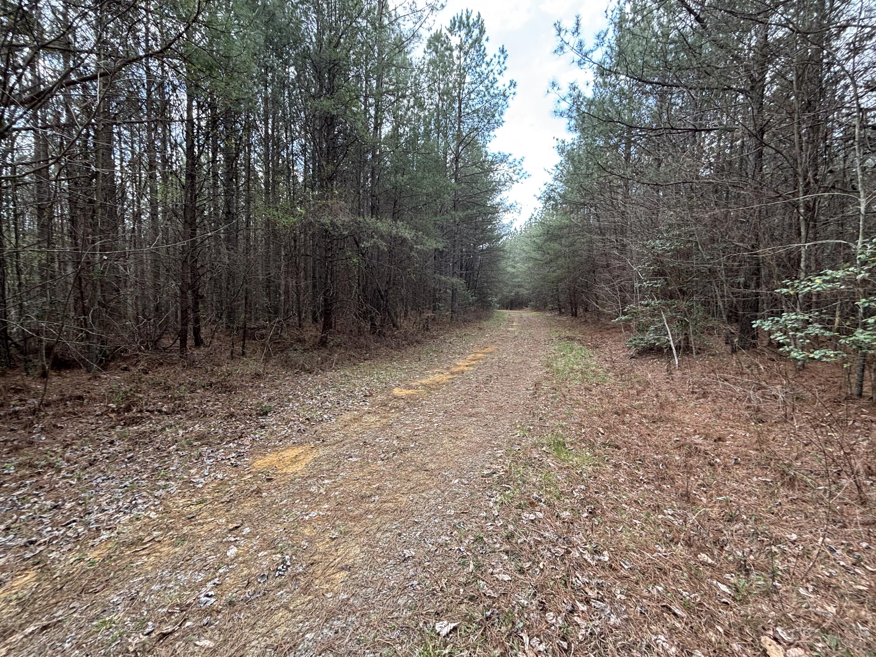 1211 Stooping Oak Road West Dunlap, TN 37327 - Photo 18 of 112 Photo Mar 26 2026, 1 23 25 PM