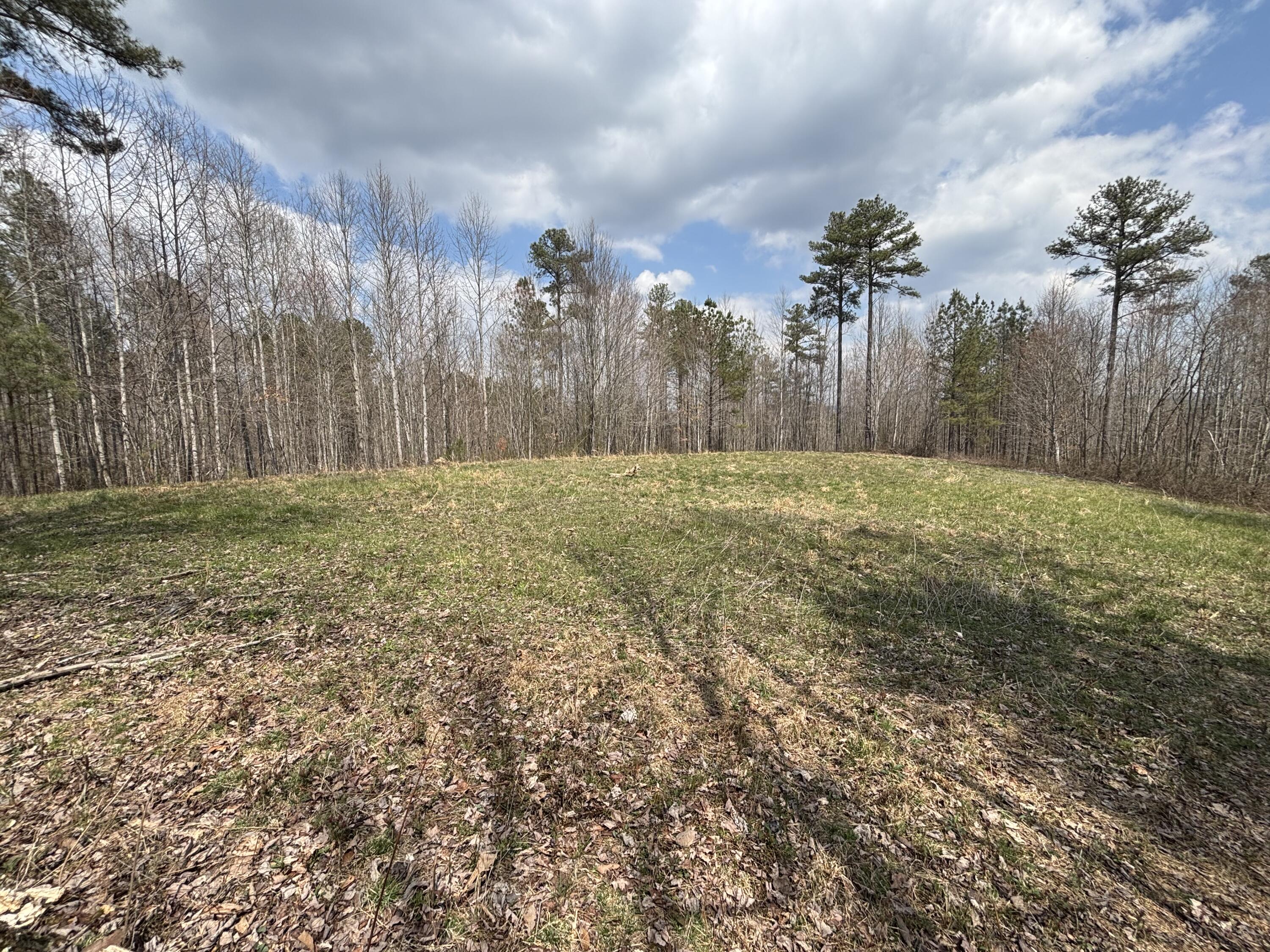 1211 Stooping Oak Road West Dunlap, TN 37327 - Photo 19 of 112 Photo Mar 26 2026, 1 27 44 PM