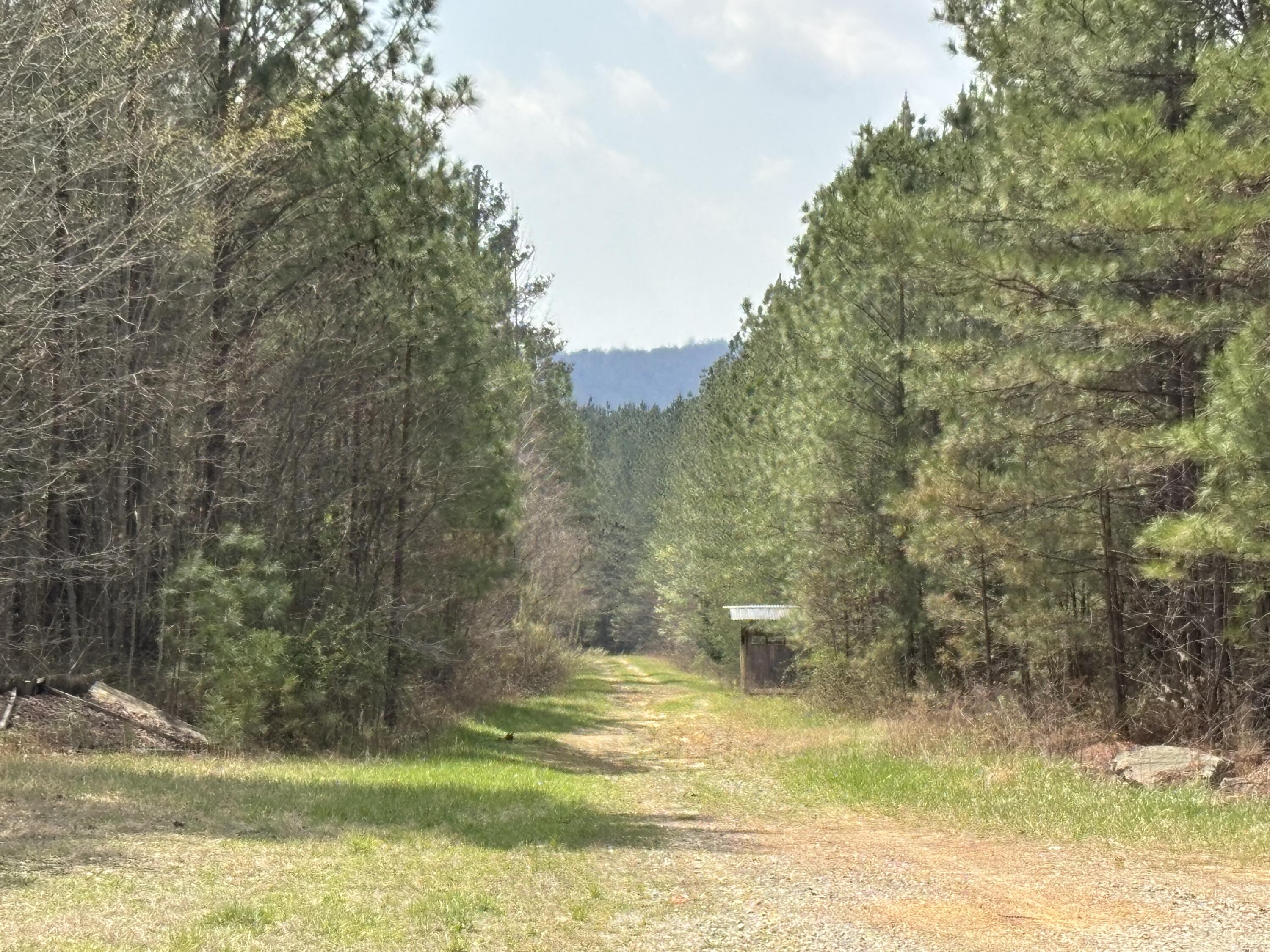 1211 Stooping Oak Road West Dunlap, TN 37327 - Photo 2 of 112 Photo Mar 26 2026, 1 06 50 PM