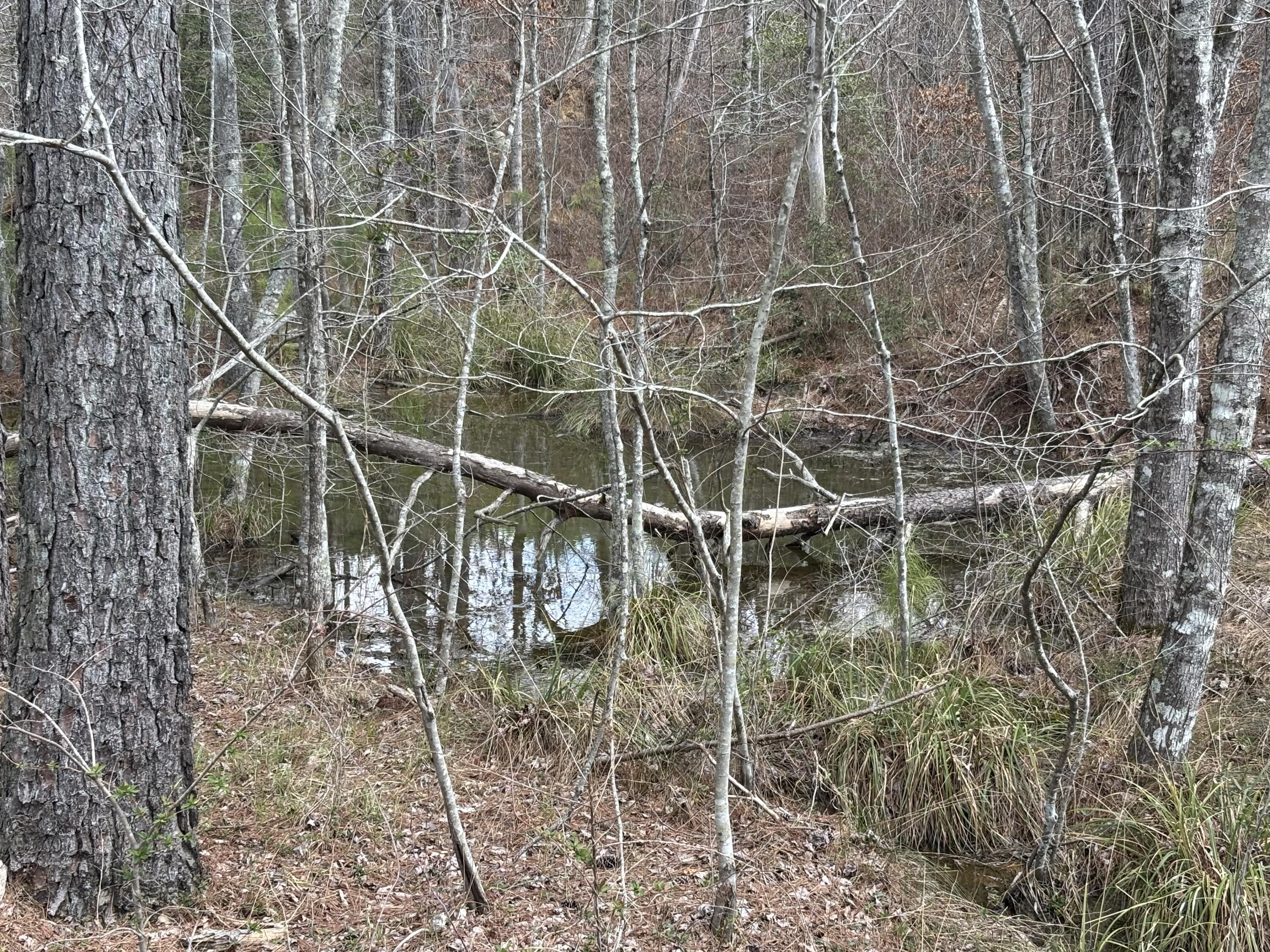 1211 Stooping Oak Road West Dunlap, TN 37327 - Photo 22 of 112 Photo Mar 26 2026, 1 03 18 PM