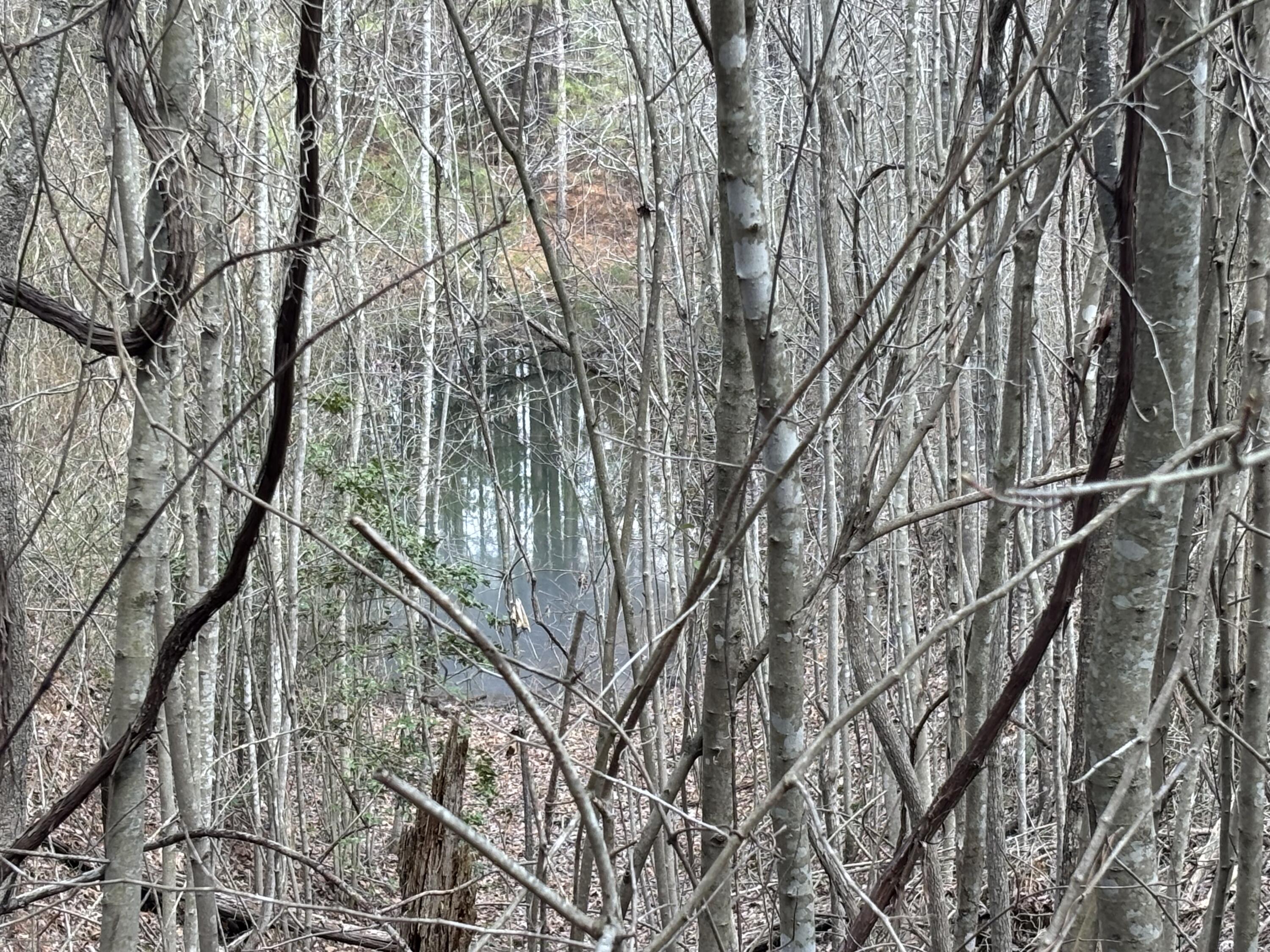 1211 Stooping Oak Road West Dunlap, TN 37327 - Photo 25 of 112 Photo Mar 26 2026, 1 34 25 PM