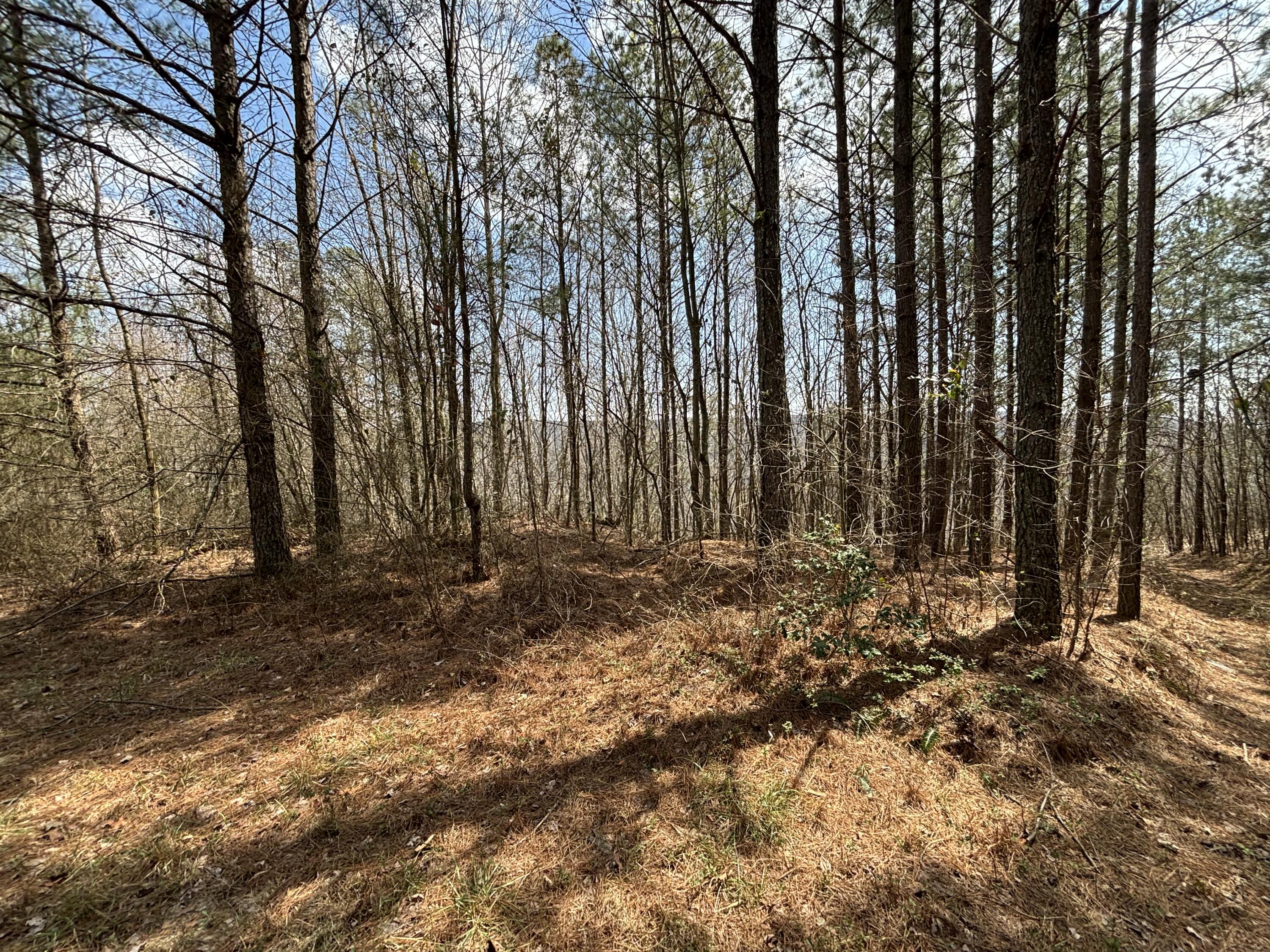 1211 Stooping Oak Road West Dunlap, TN 37327 - Photo 27 of 112 Photo Mar 26 2026, 1 36 18 PM
