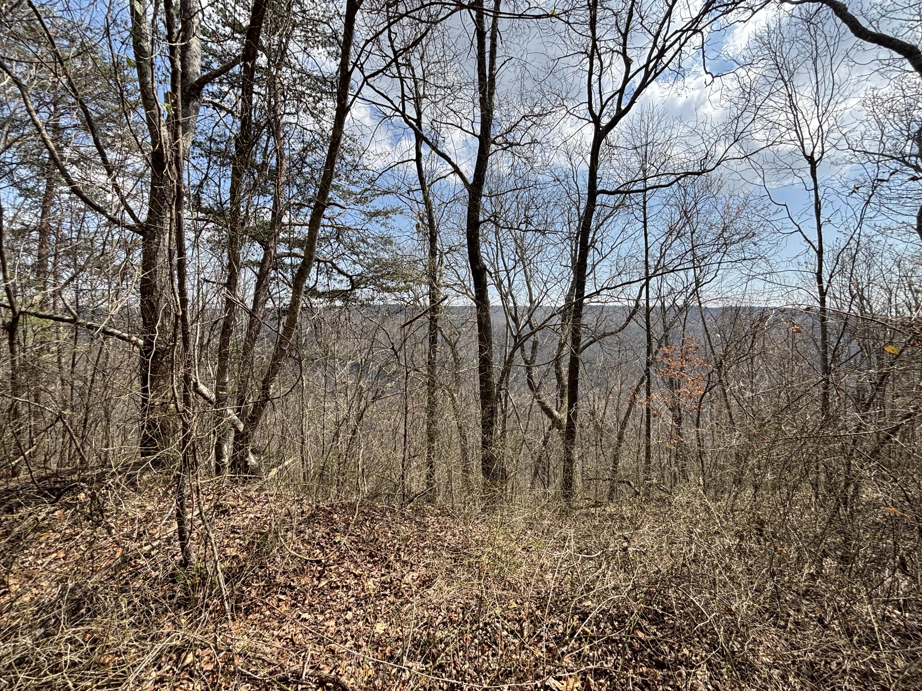 1211 Stooping Oak Road West Dunlap, TN 37327 - Photo 28 of 112 Photo Mar 26 2026, 1 37 18 PM