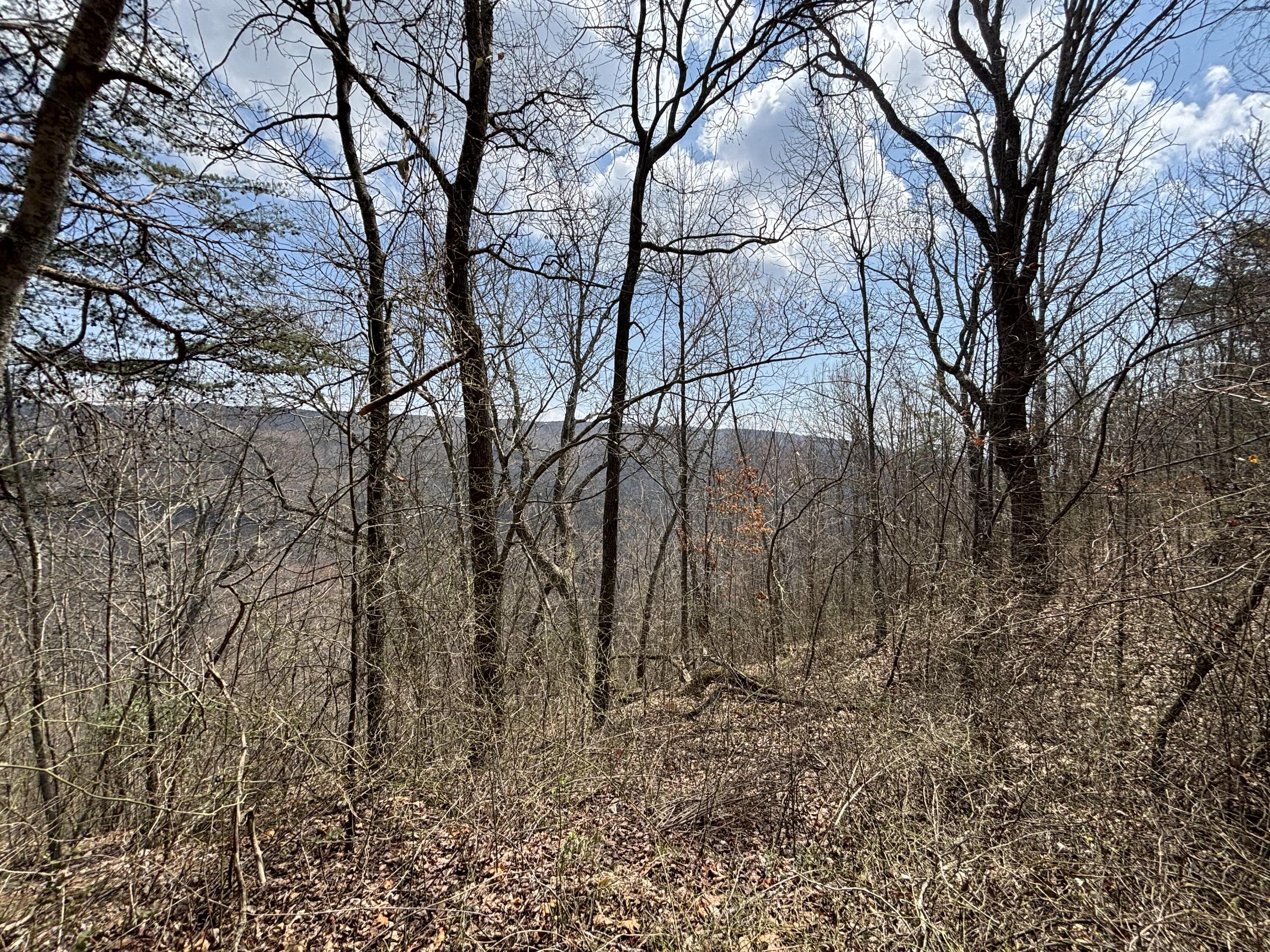 1211 Stooping Oak Road West Dunlap, TN 37327 - Photo 29 of 112 Photo Mar 26 2026, 1 37 25 PM