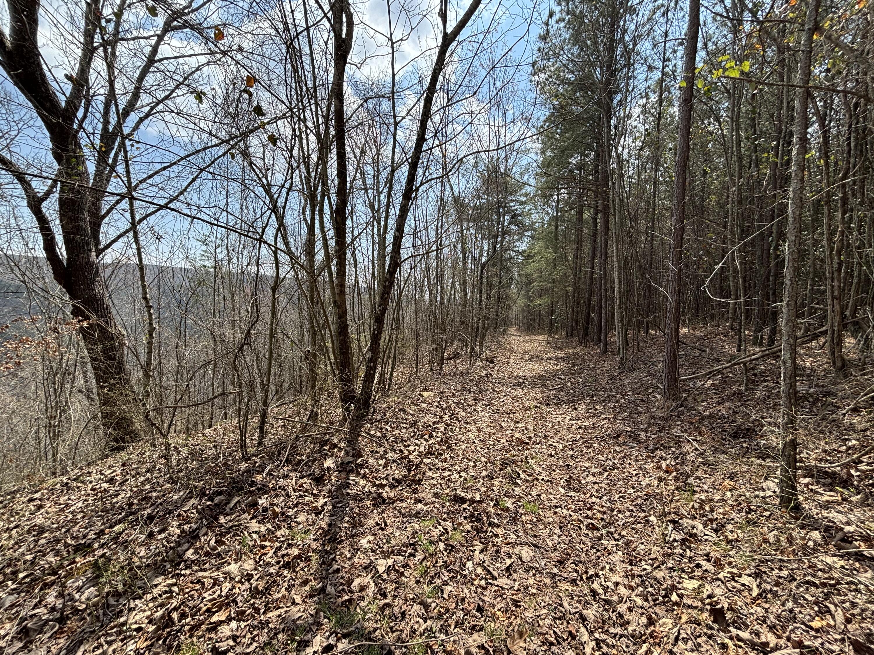 1211 Stooping Oak Road West Dunlap, TN 37327 - Photo 30 of 112 Photo Mar 26 2026, 1 37 44 PM