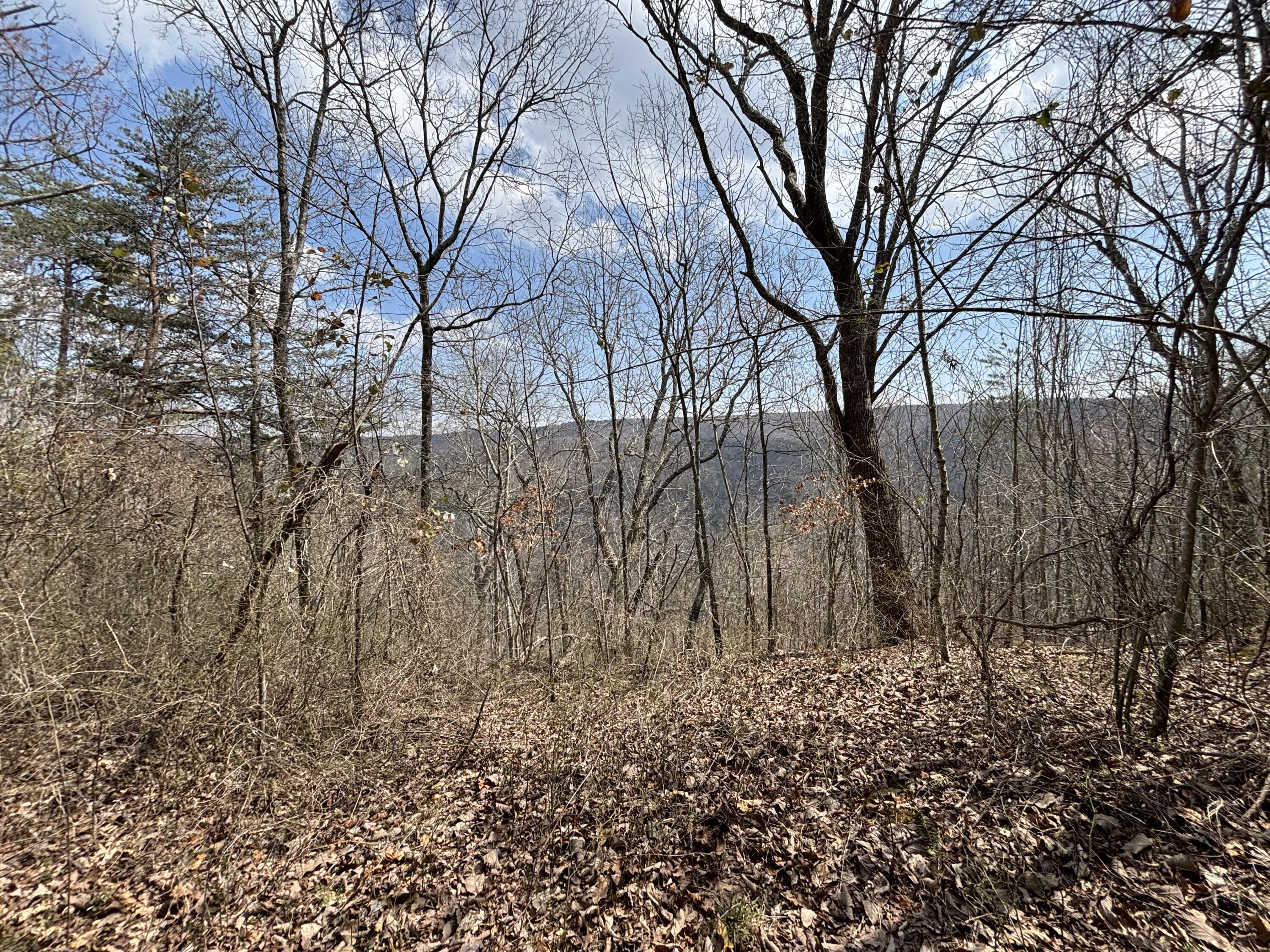 1211 Stooping Oak Road West Dunlap, TN 37327 - Photo 31 of 112 Photo Mar 26 2026, 1 37 47 PM