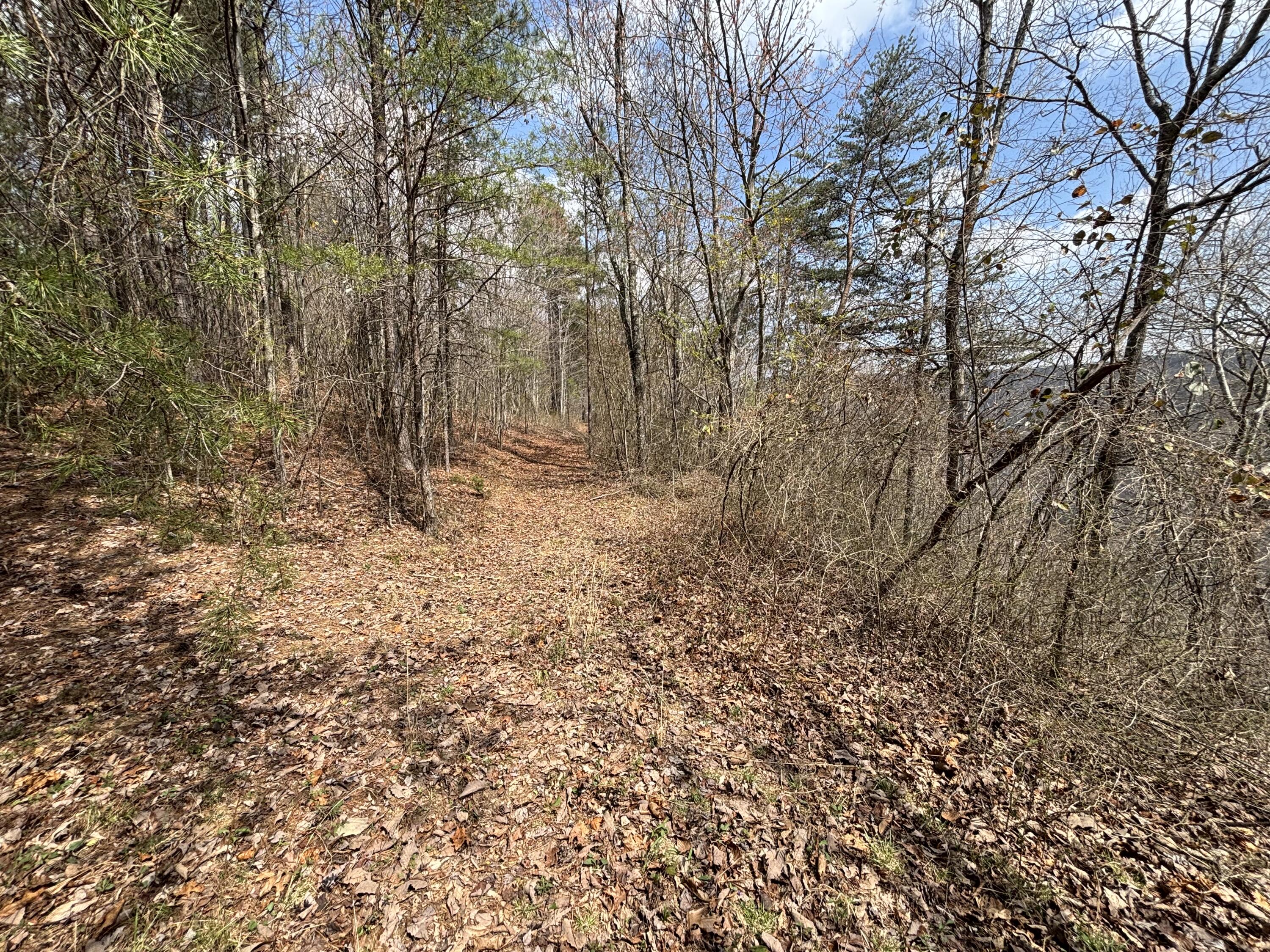 1211 Stooping Oak Road West Dunlap, TN 37327 - Photo 32 of 112 Photo Mar 26 2026, 1 37 49 PM