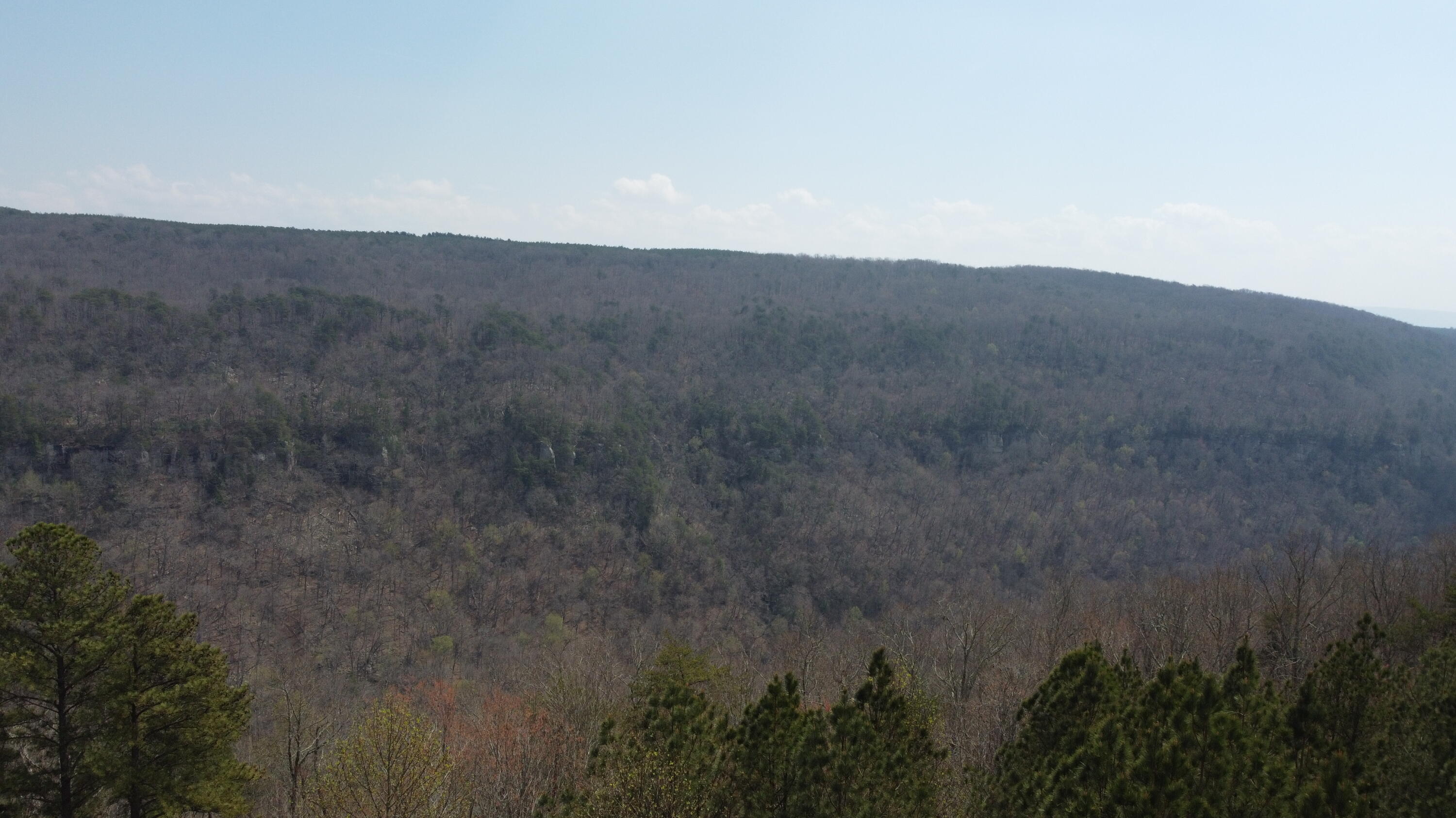 1211 Stooping Oak Road West Dunlap, TN 37327 - Photo 34 of 112 Photo Mar 26 2026, 1 44 50 PM