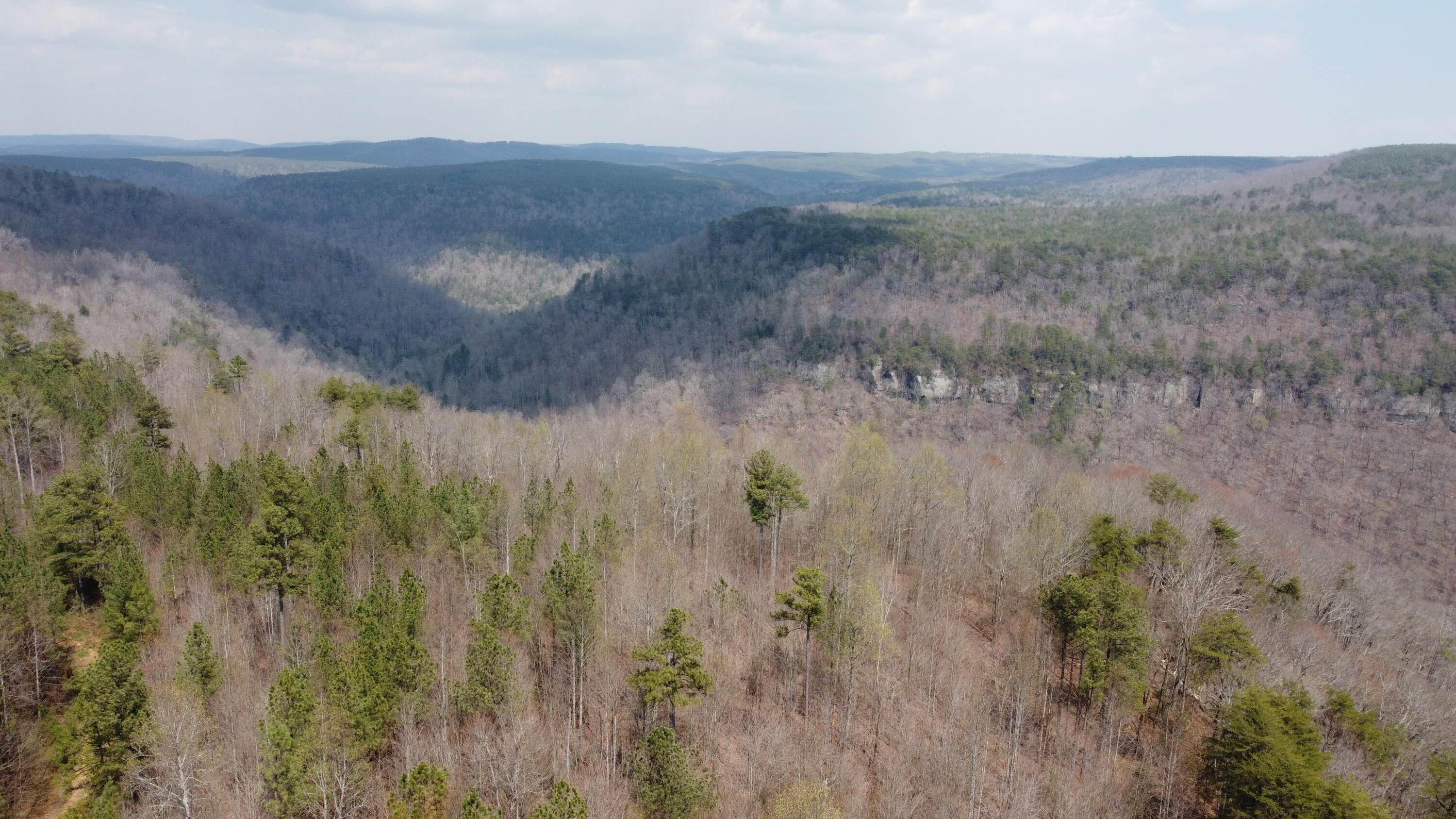 1211 Stooping Oak Road West Dunlap, TN 37327 - Photo 35 of 112 Photo Mar 26 2026, 1 45 08 PM