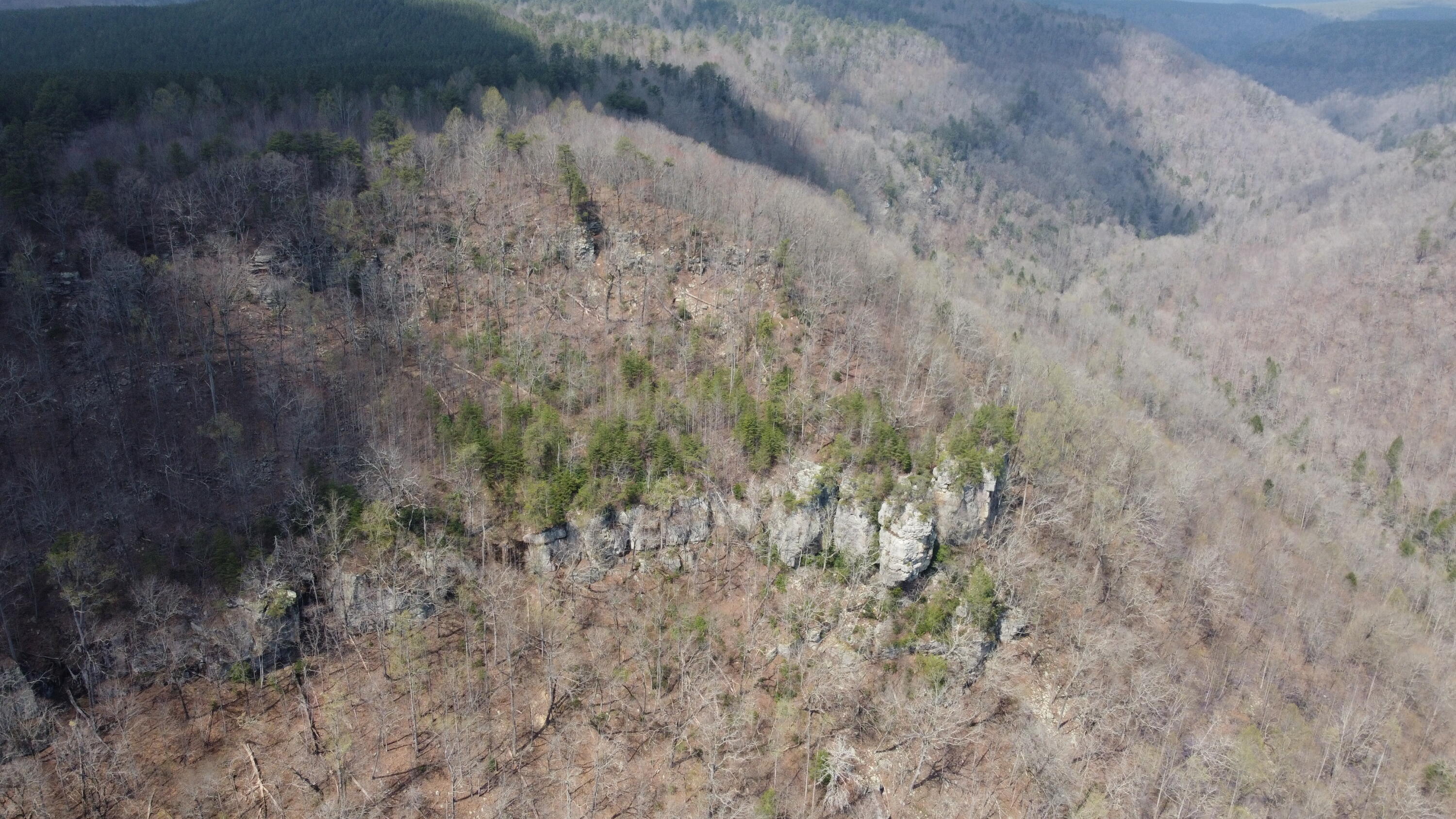 1211 Stooping Oak Road West Dunlap, TN 37327 - Photo 38 of 112 Photo Mar 26 2026, 1 47 39 PM