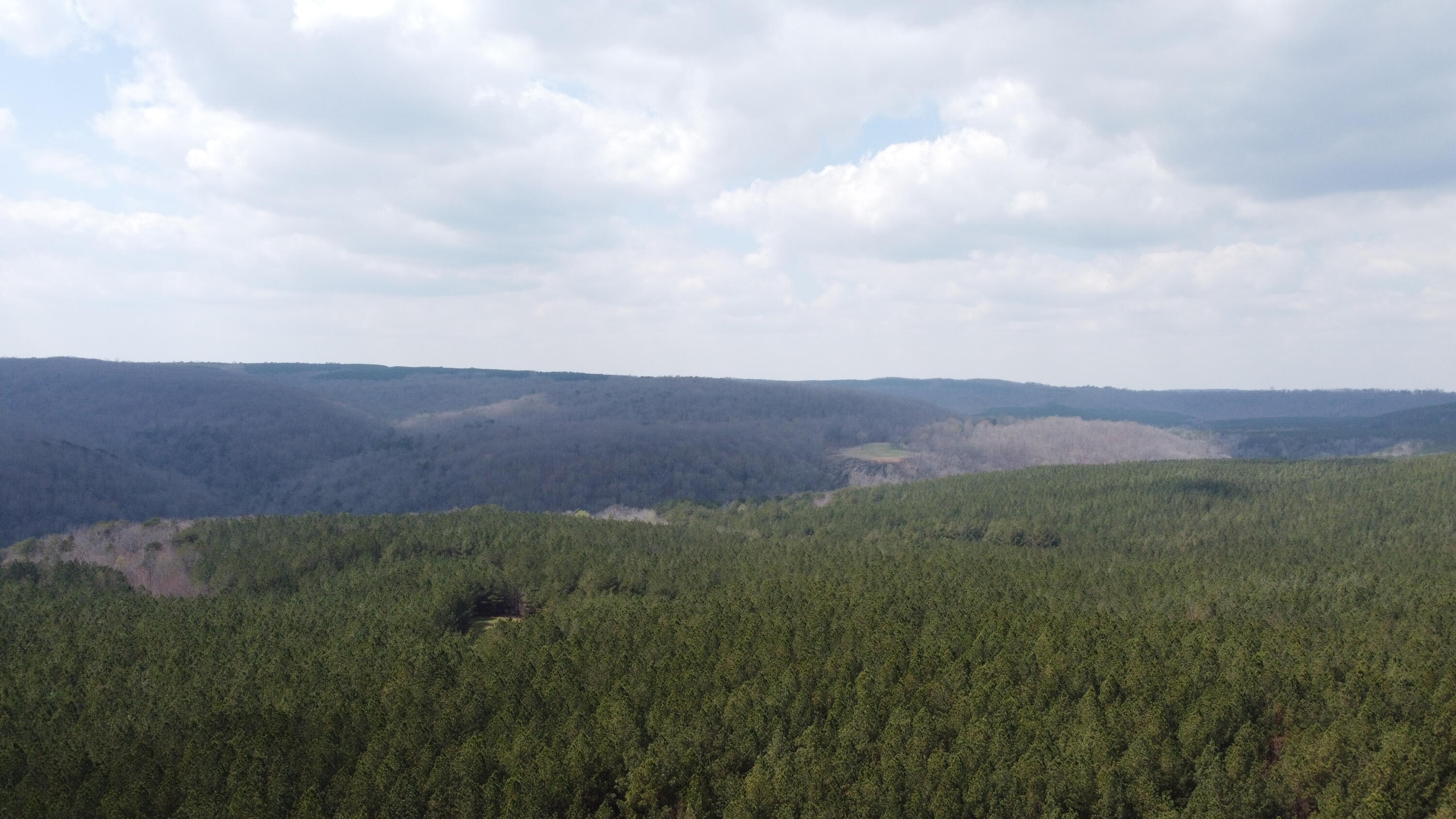 1211 Stooping Oak Road West Dunlap, TN 37327 - Photo 39 of 112 Photo Mar 26 2026, 1 46 41 PM