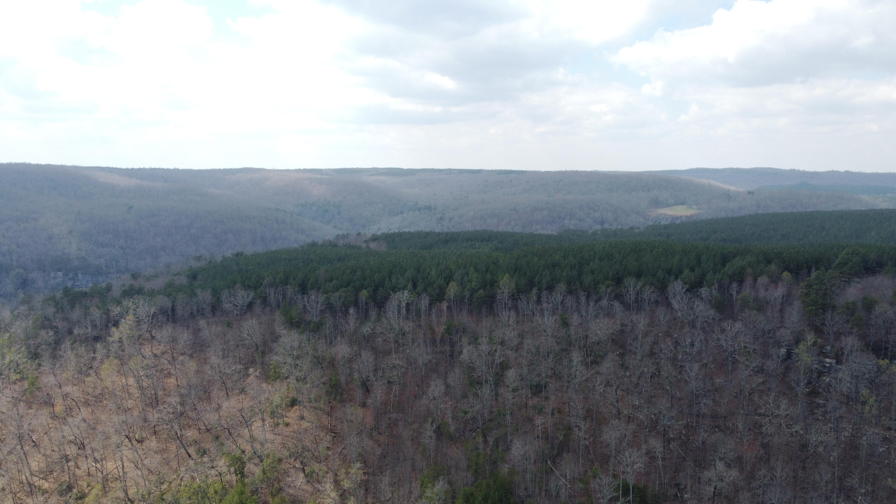 1211 Stooping Oak Road West Dunlap, TN 37327 - Photo 41 of 112 Photo Mar 26 2026, 1 47 45 PM