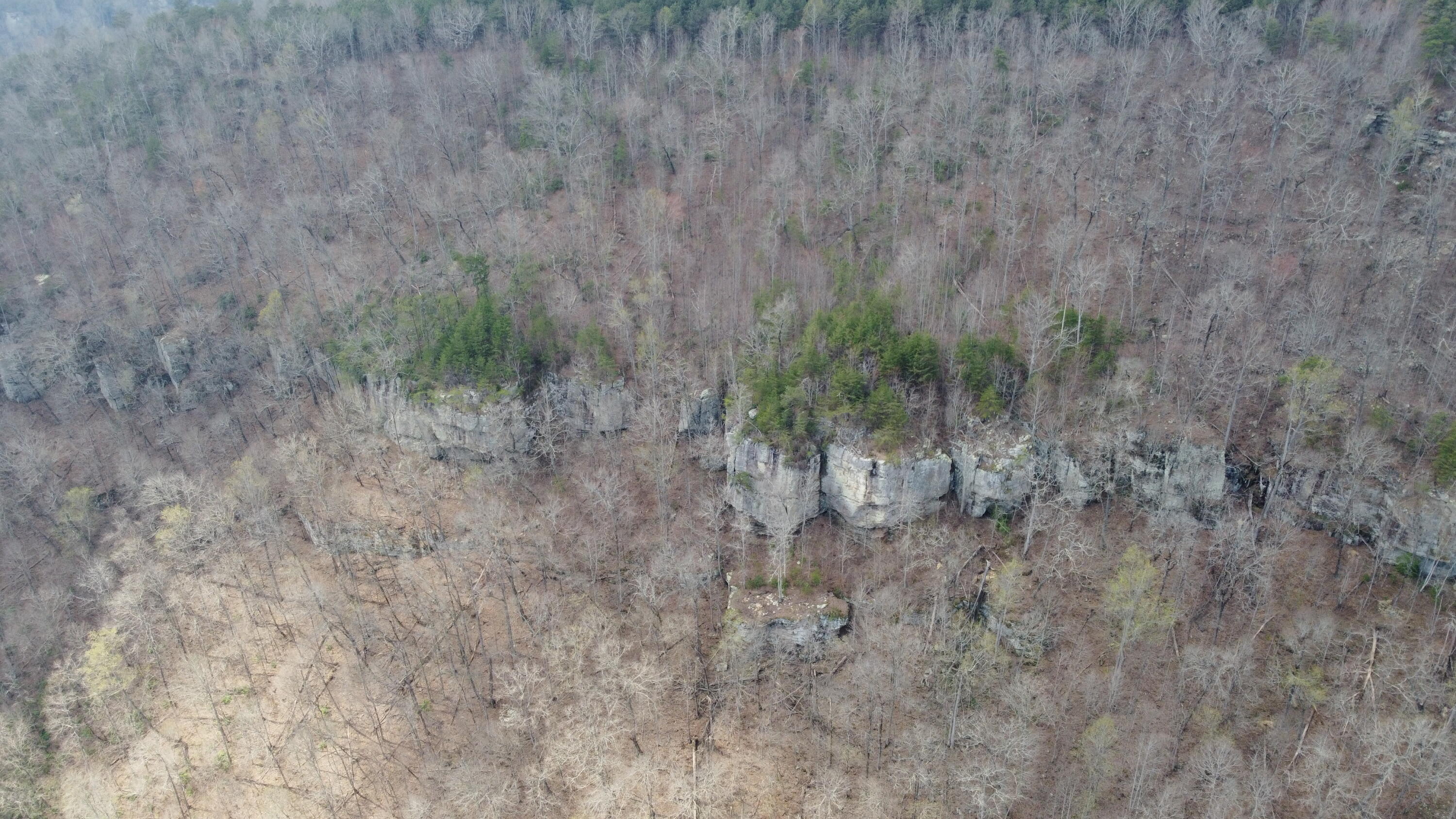 1211 Stooping Oak Road West Dunlap, TN 37327 - Photo 42 of 112 Photo Mar 26 2026, 1 48 00 PM