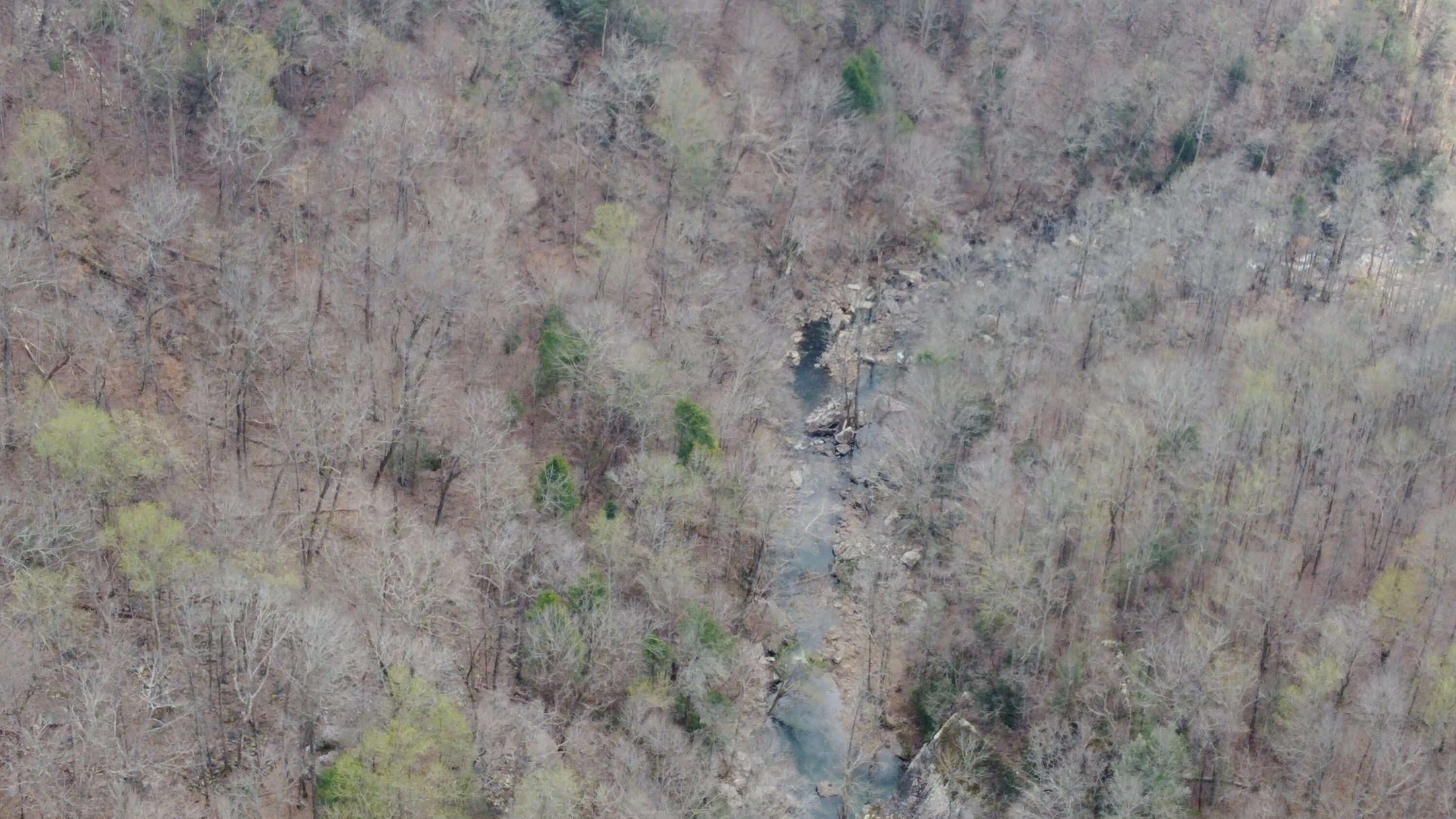 1211 Stooping Oak Road West Dunlap, TN 37327 - Photo 43 of 112 Photo Mar 26 2026, 1 48 47 PM