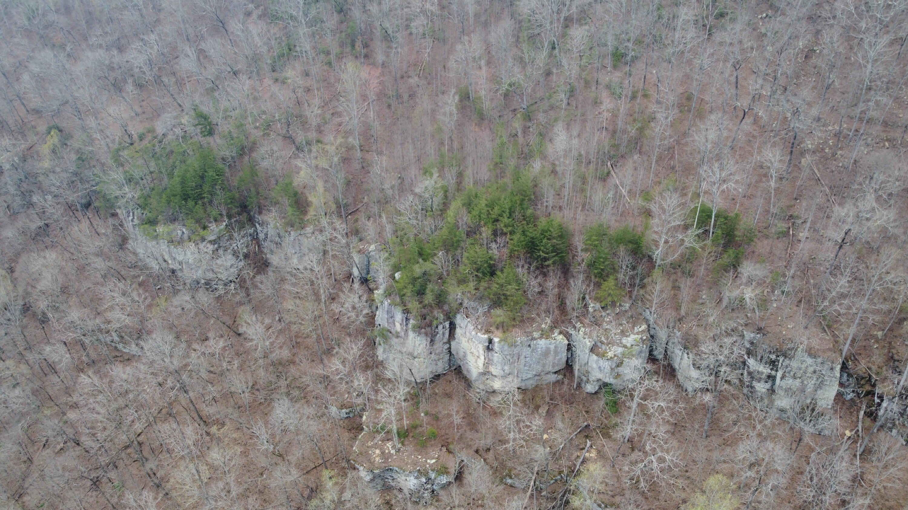 1211 Stooping Oak Road West Dunlap, TN 37327 - Photo 45 of 112 Photo Mar 26 2026, 1 49 32 PM