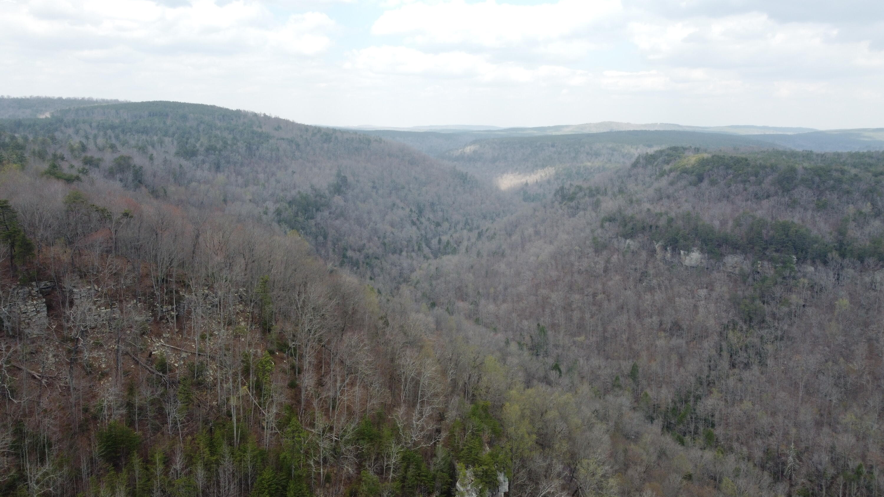 1211 Stooping Oak Road West Dunlap, TN 37327 - Photo 46 of 112 Photo Mar 26 2026, 1 50 02 PM