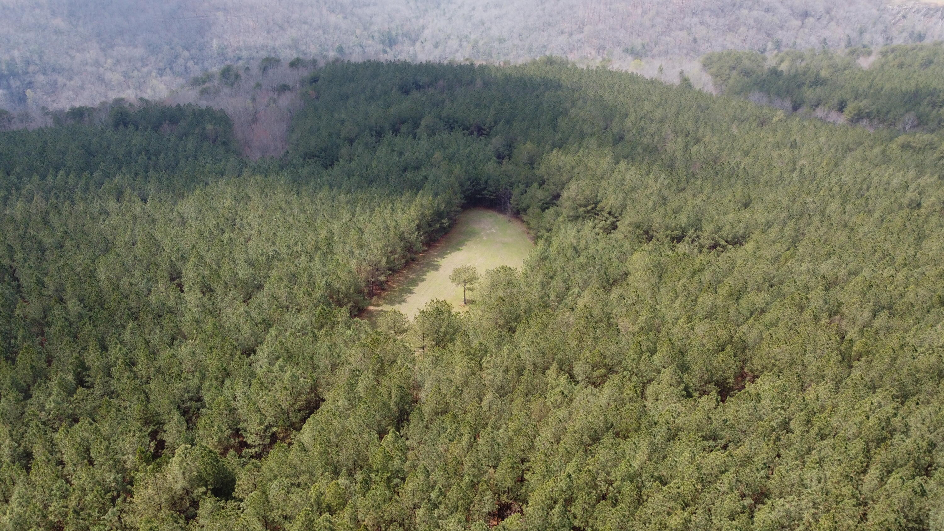 1211 Stooping Oak Road West Dunlap, TN 37327 - Photo 48 of 112 Photo Mar 26 2026, 1 51 28 PM